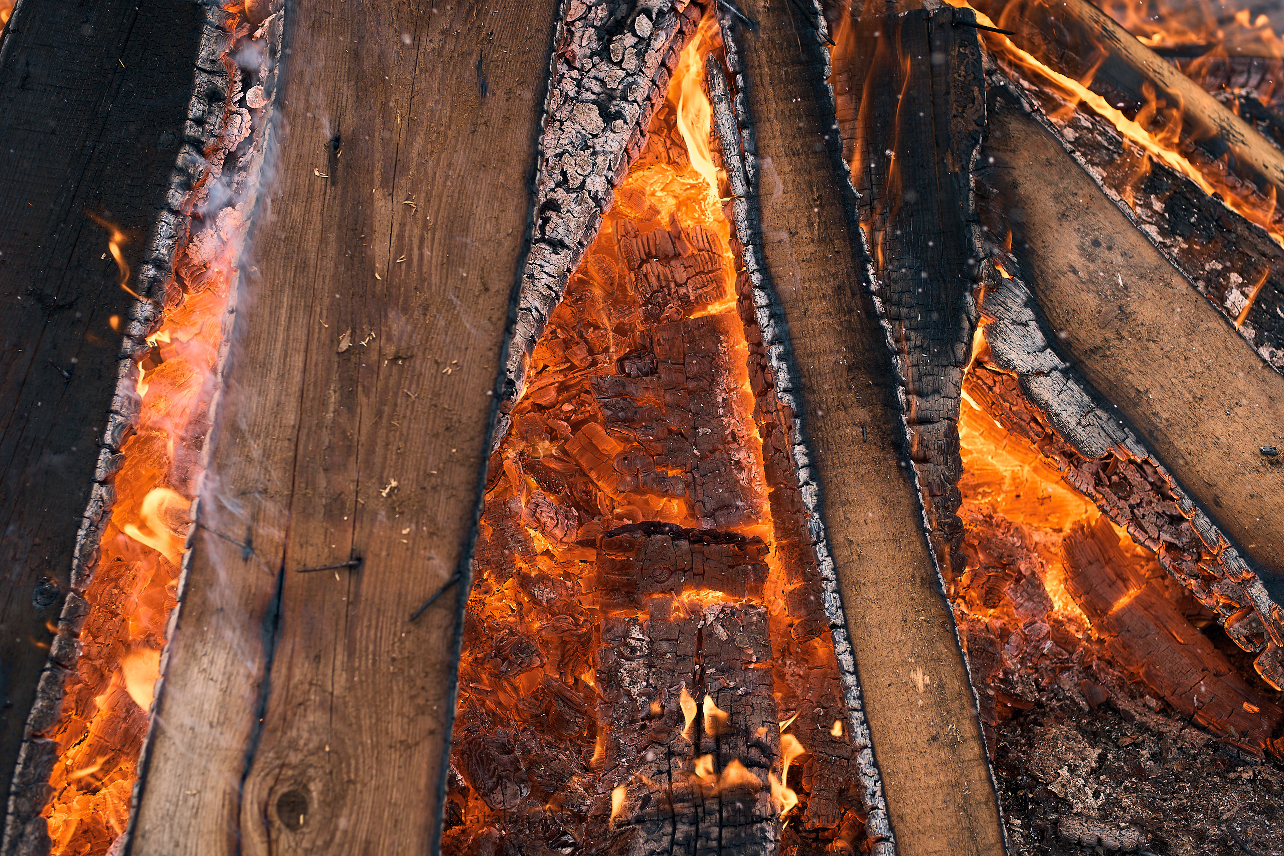 Большая Псовая охота, КТБ Аванпост | 01'2019. Репортажный фотограф и ретушер в Москве Наталья Алексеева