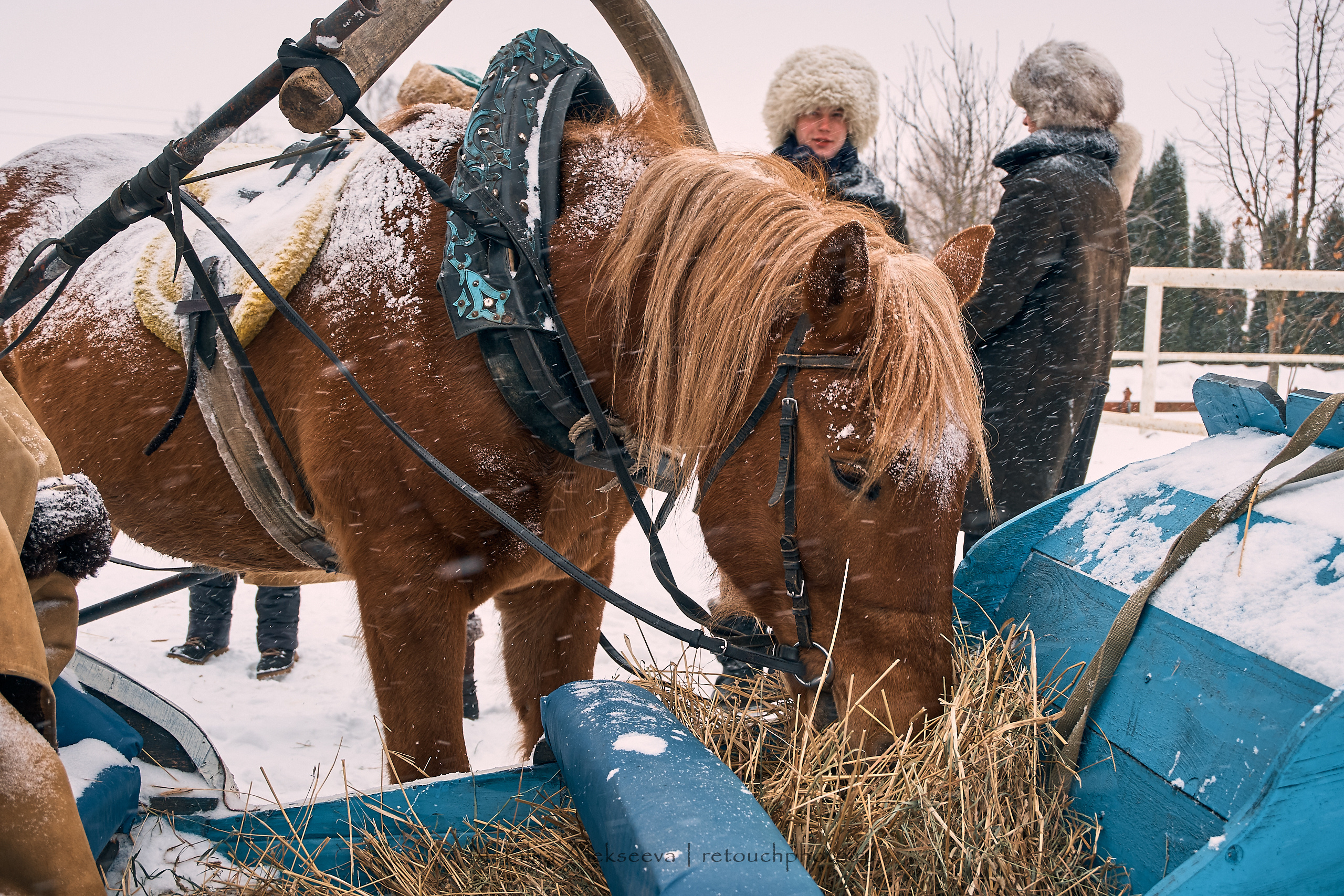 Большая Псовая охота, КТБ Аванпост | 01'2019. Репортажный фотограф и ретушер в Москве Наталья Алексеева
