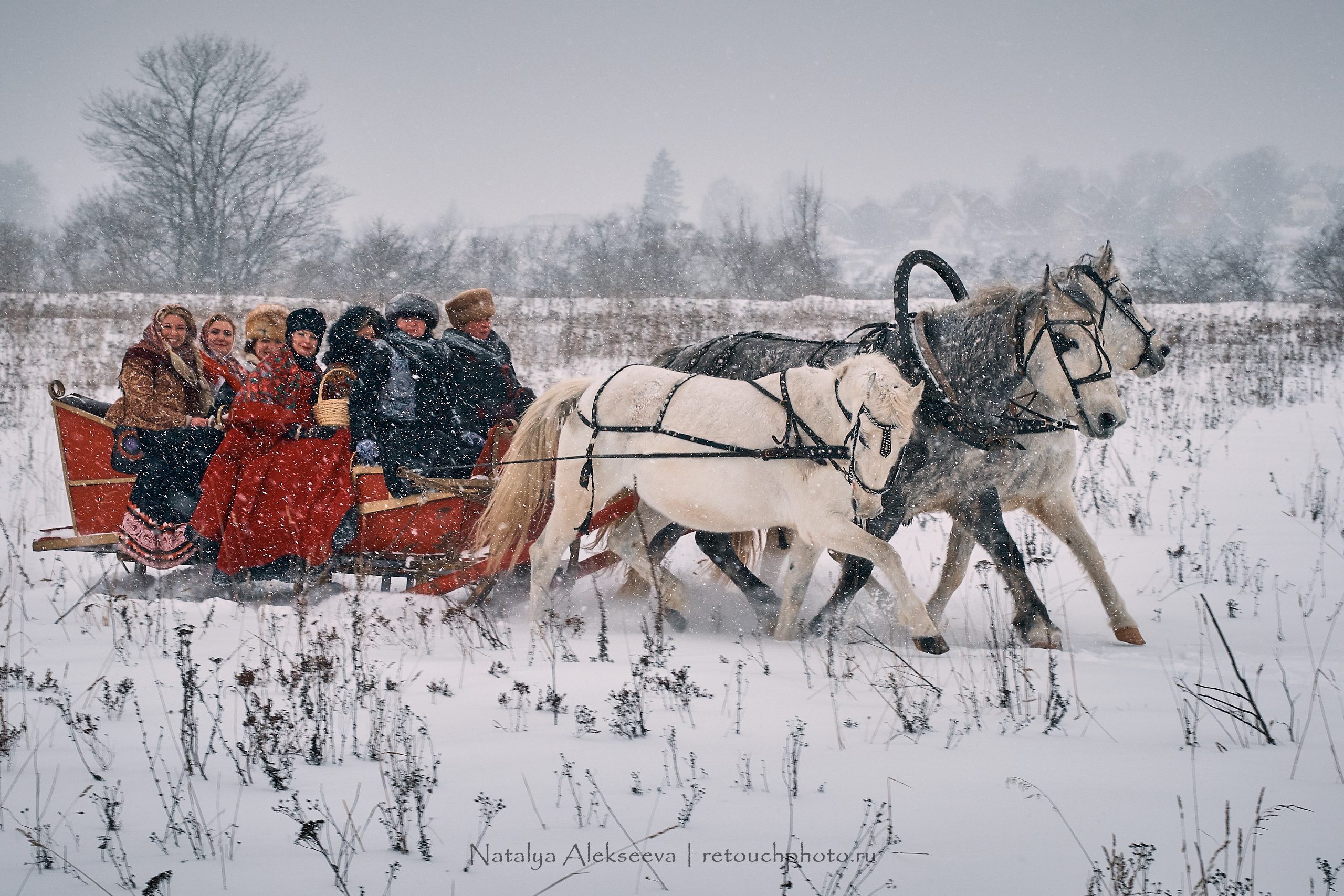 Большая Псовая охота, КТБ Аванпост | 01'2019. Репортажный фотограф и ретушер в Москве Наталья Алексеева