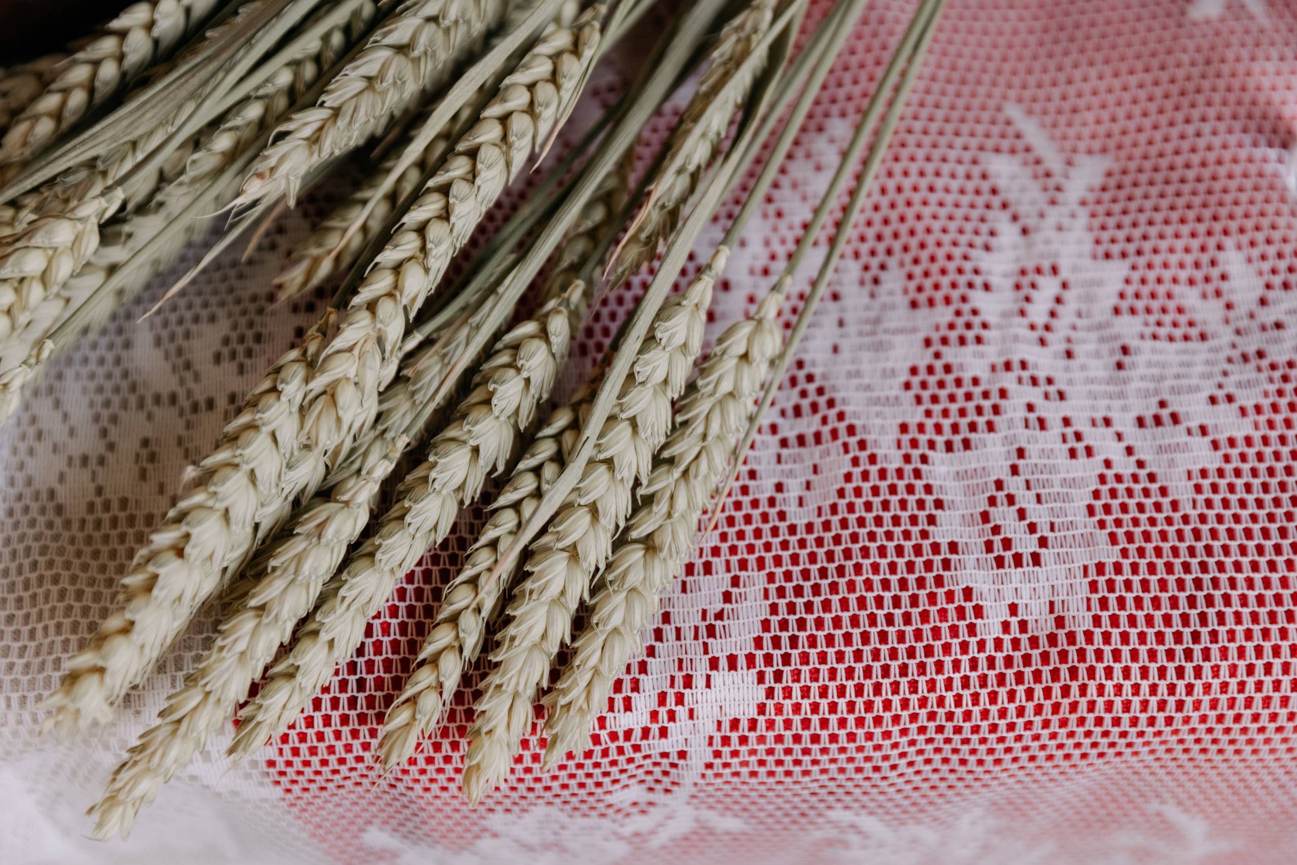 «Суженый, ряженый, приди ко мне наряженный». Свадебный и репортажный фотограф в Санкт-Петербурге