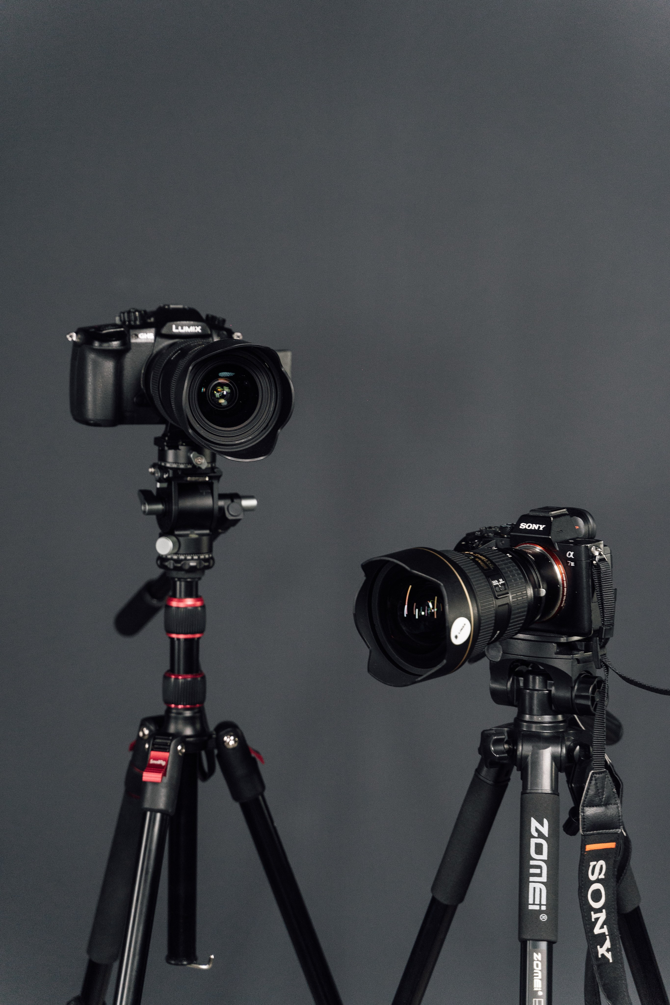 Интерьерная. Kamelia Candy фотограф Самара/ Москва