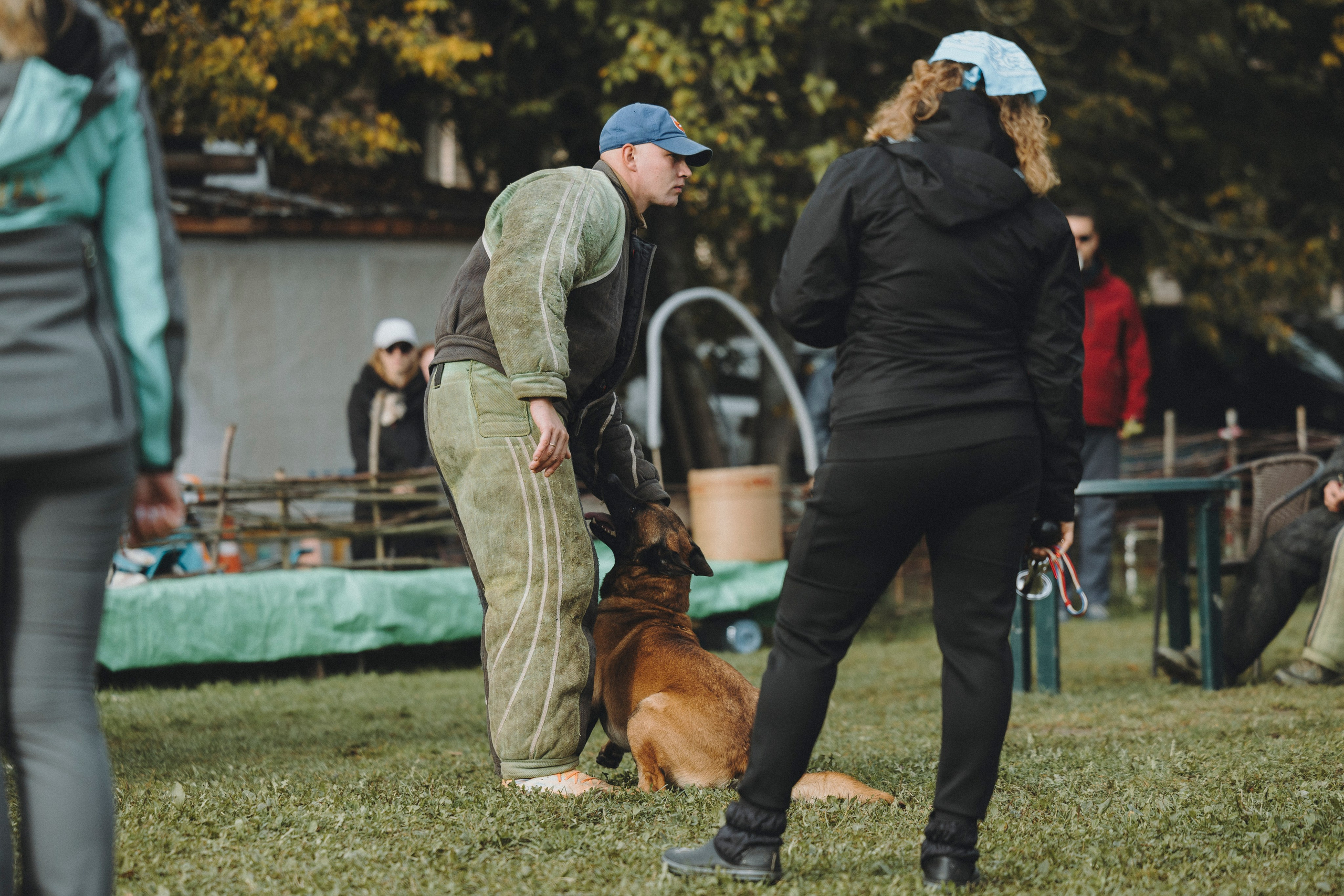 Испытания по мондьорингу г. Пушкин 29.09.2024. Фотограф-анималист Анна Маринич