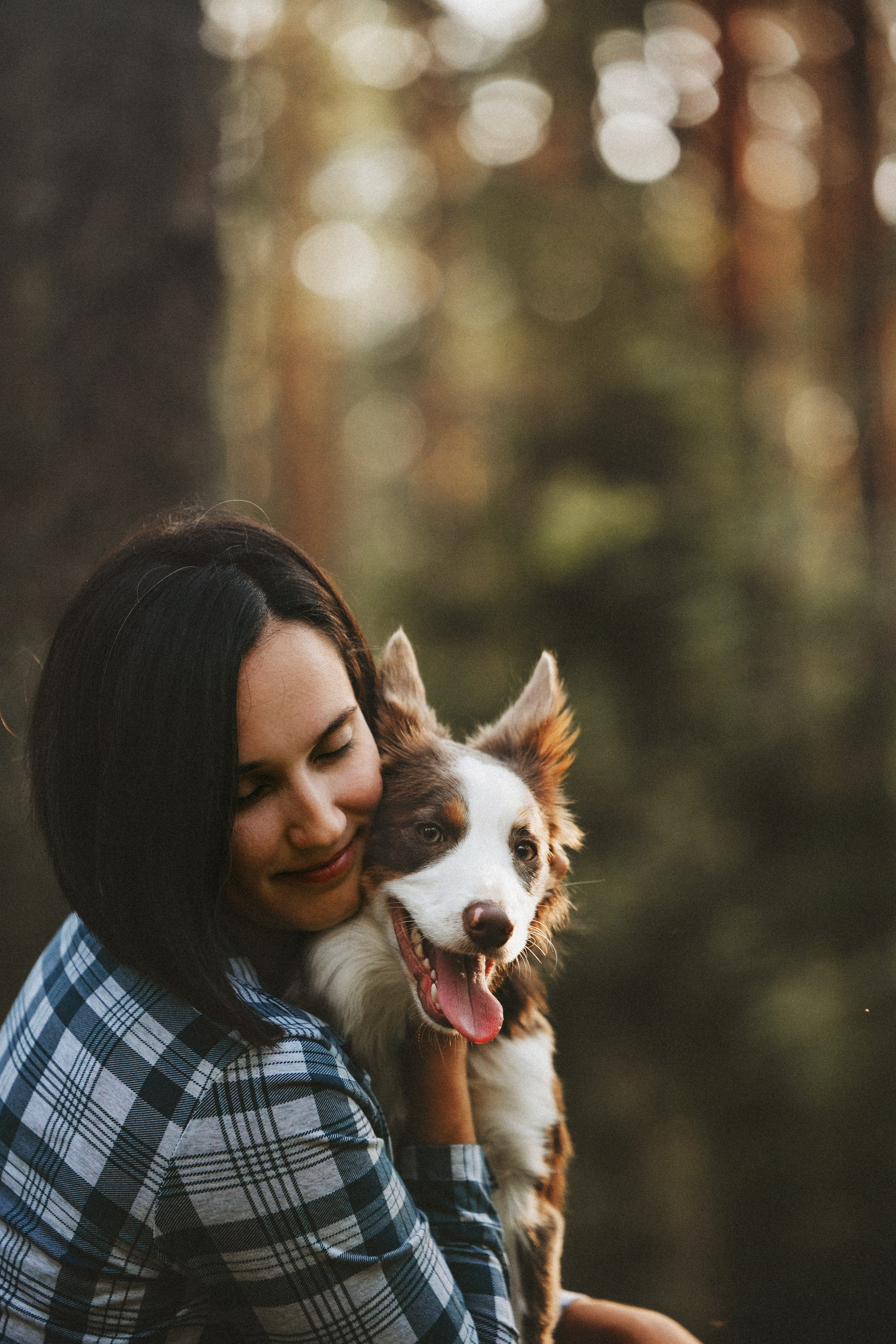 Рита, Маша и много собак. Фотограф анималист Осипчикова Мария