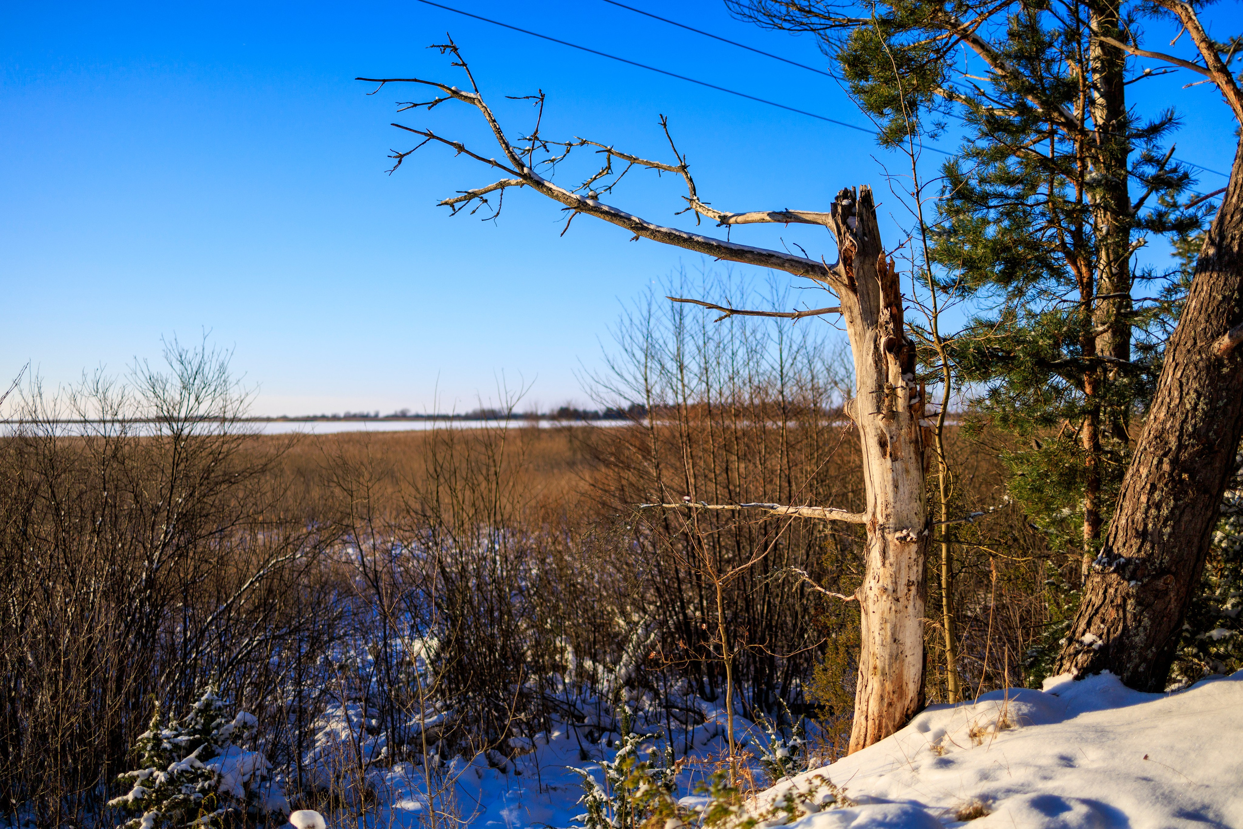 Авторская фотография и эстетика Петербурга | Роман Карбышев. Репортажный фотограф | Снимки за 3 дня | СПБ и ЛО