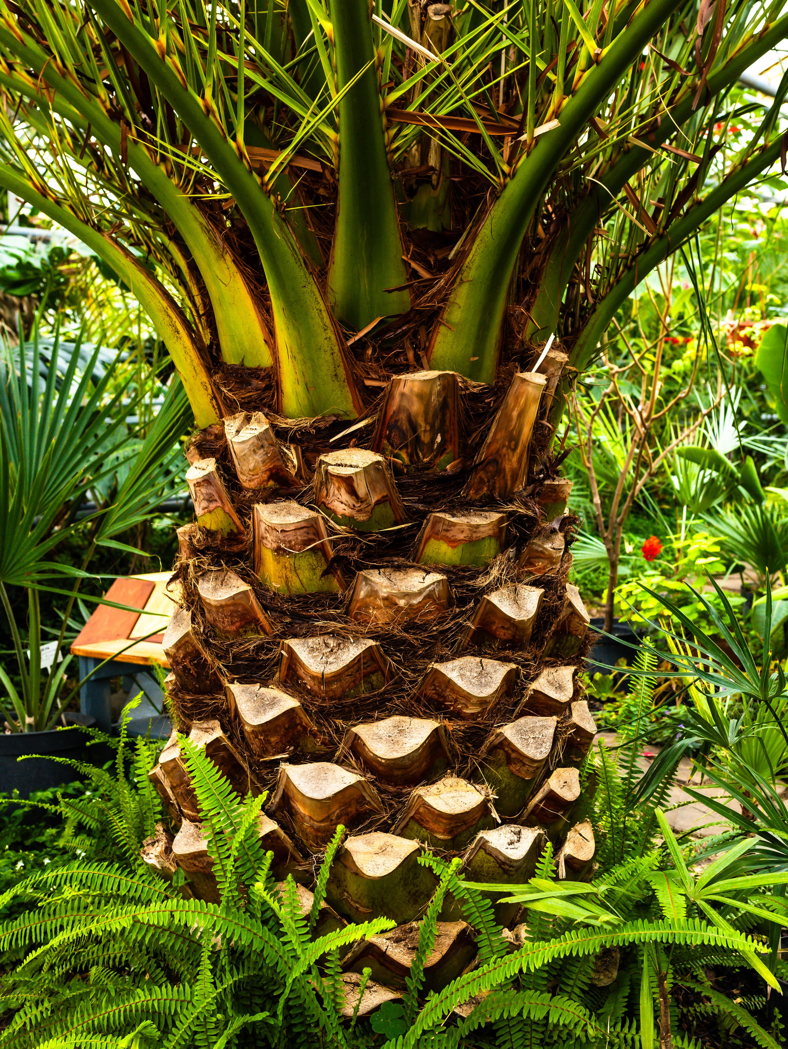 Фотографии природы Липецка. Свадебный и семейный фотограф Виолетта в Липецке