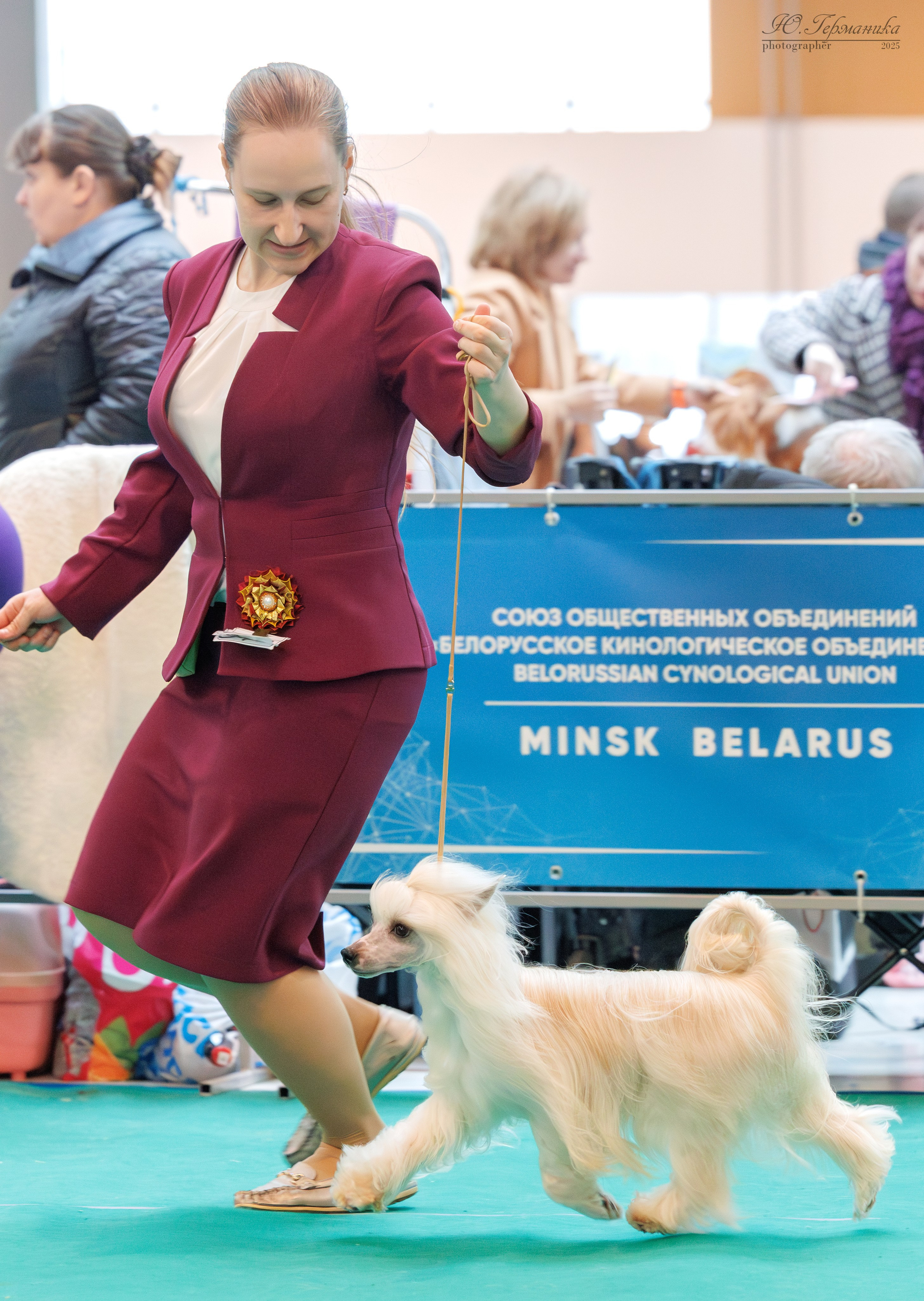 Минск 1-2.03.2025. Фотограф-анималист Юлия Германика