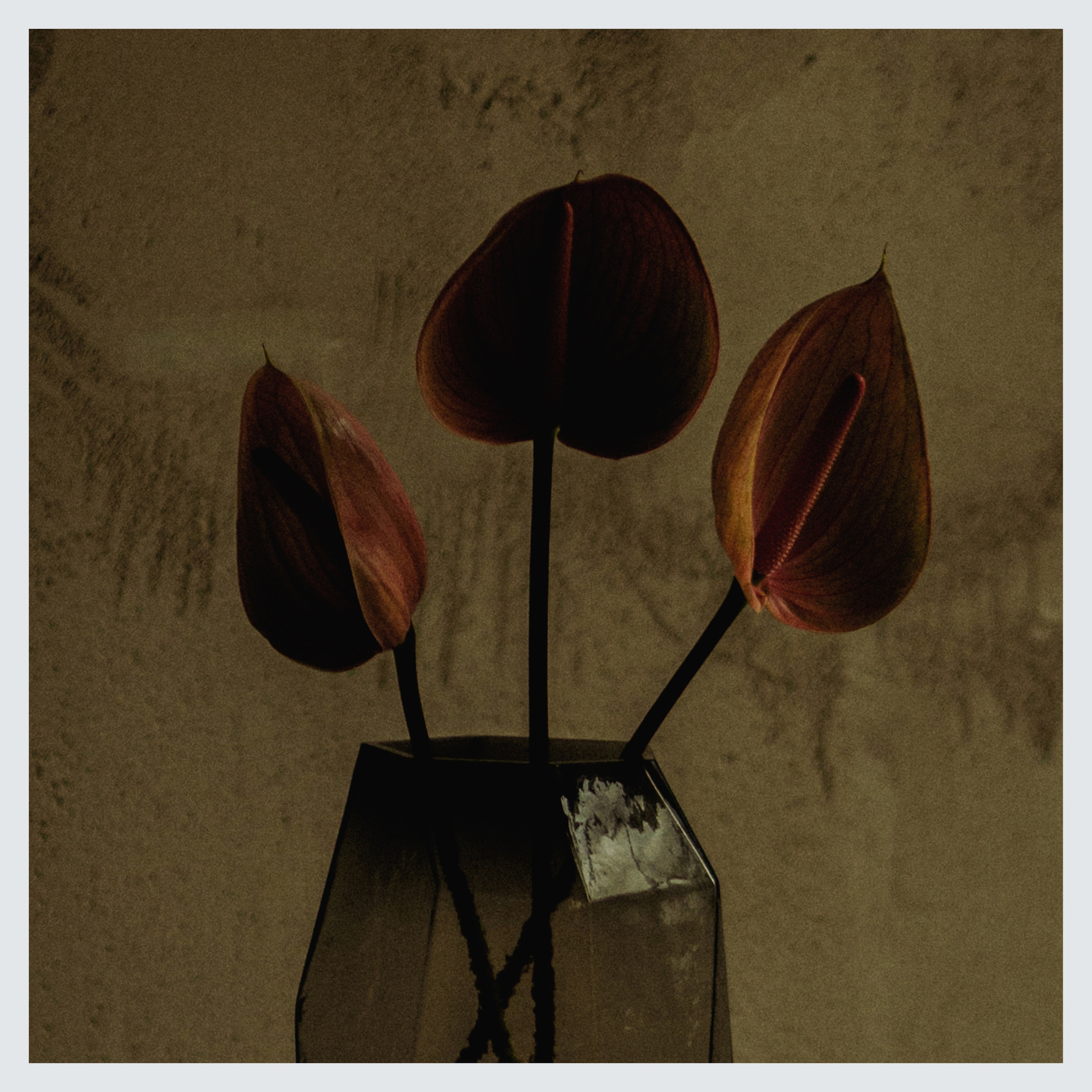 COLLAB x VANO. Ivan Petrov photographer