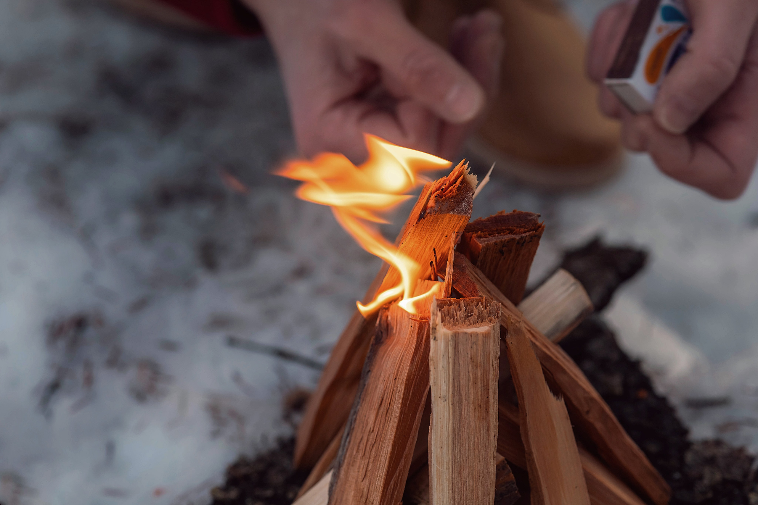 Лесоруб. Фотограф в Петрозаводске BellaDonna