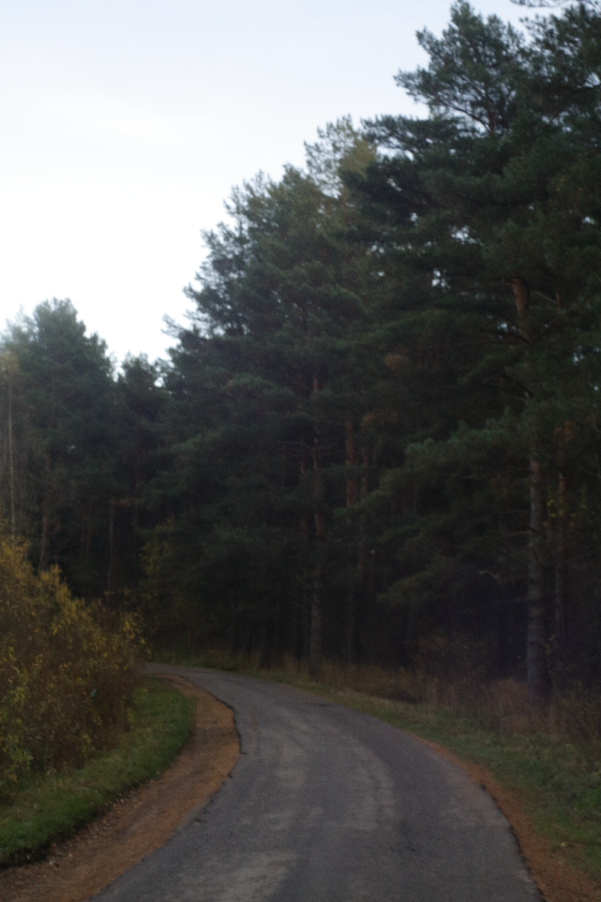 Старое природное, отбирала Katamount (Катерина Горохова). Главная