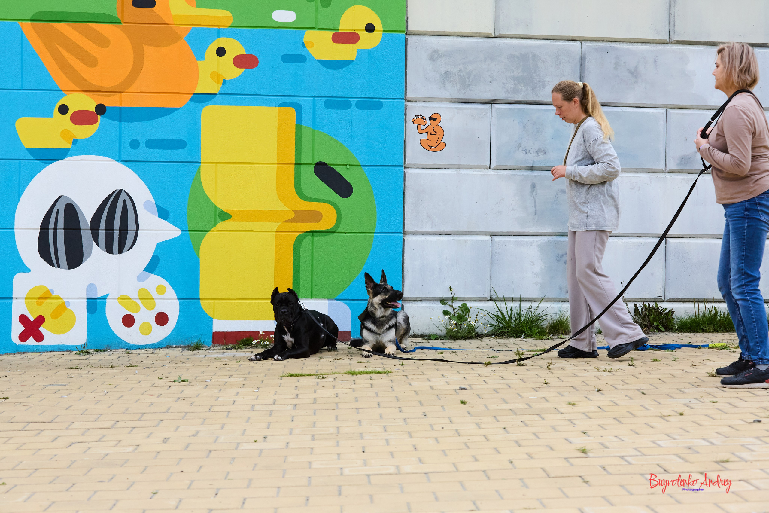 Проект фотопрогулка с хвостиком. Buyvolenko Andrey