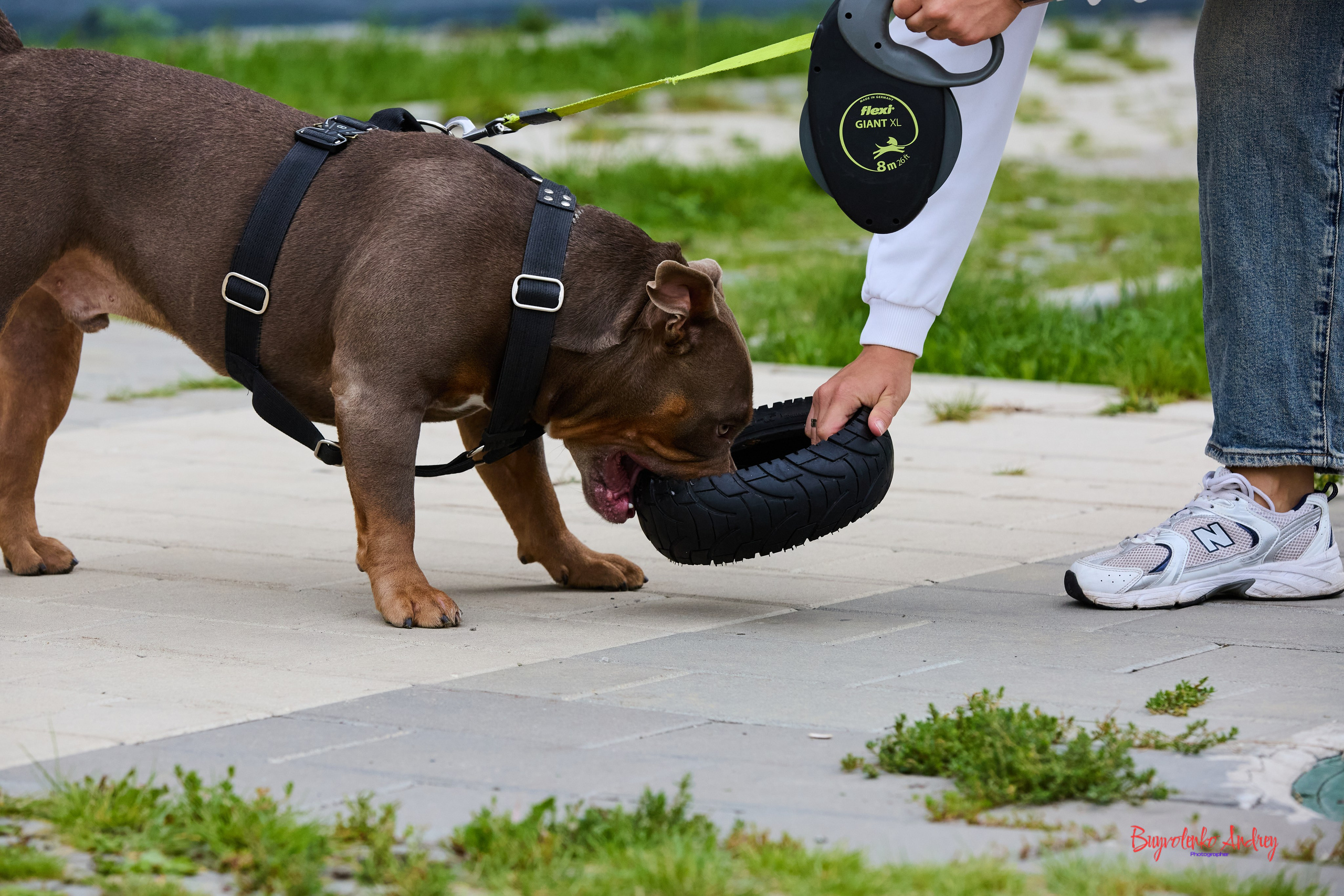 Проект фотопрогулка с хвостиком. Buyvolenko Andrey