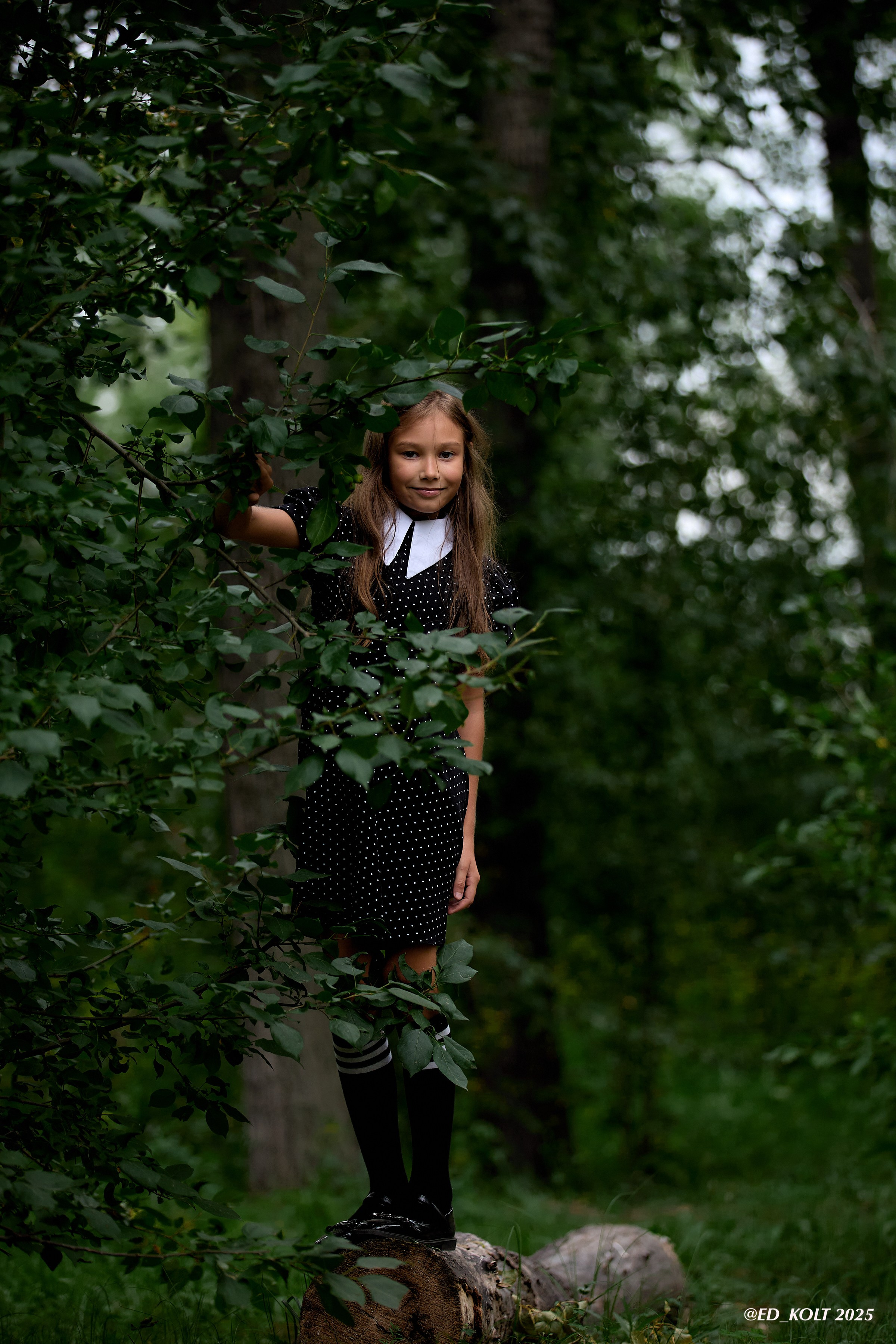 Сказочная тропинка. ФОТОГРАФ ЭДУАРД КОЛТУНОВСКИЙ