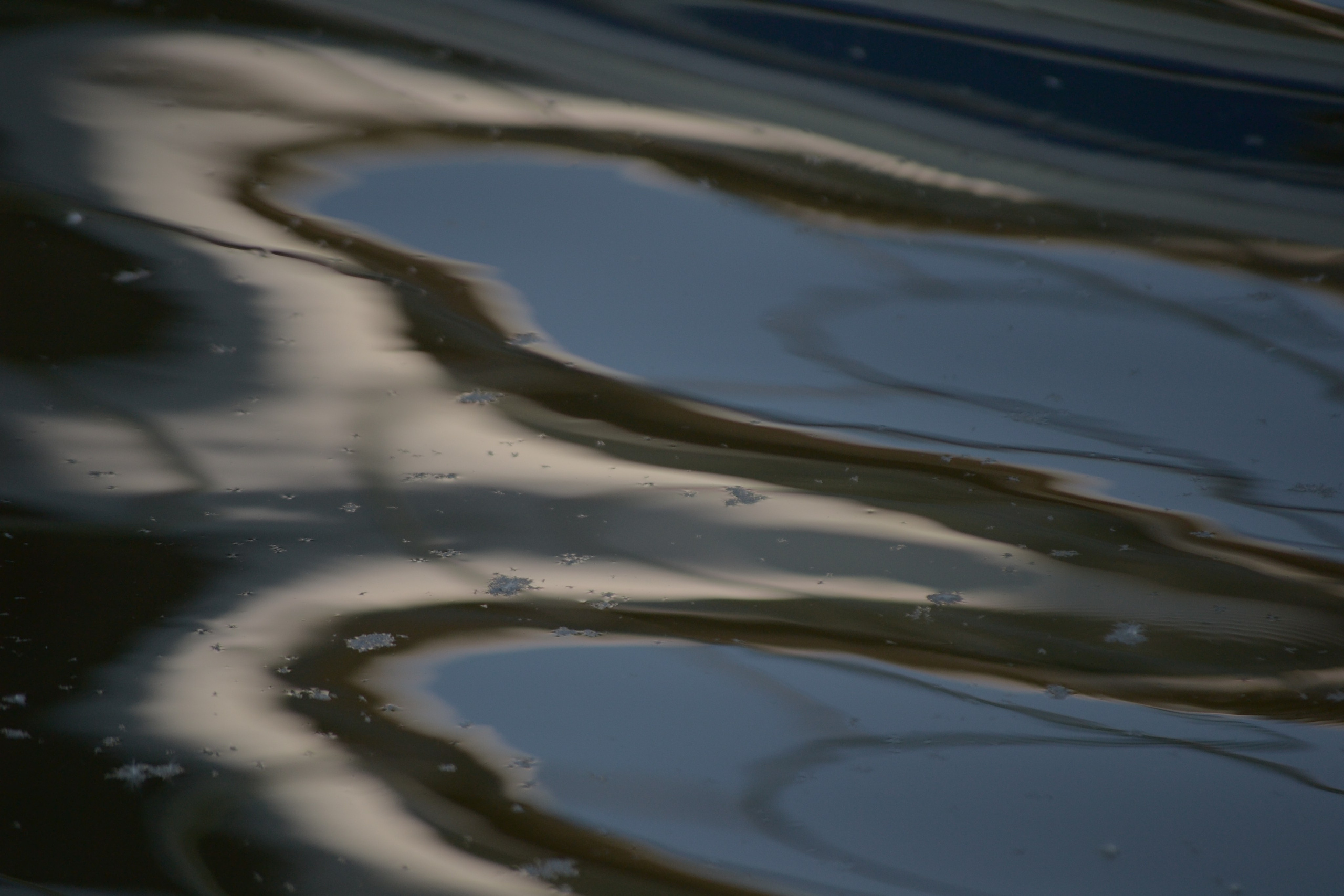 Сёрфинг в Саратове!. Фотокрыжовник. Снимаем, дружим, путешествуем