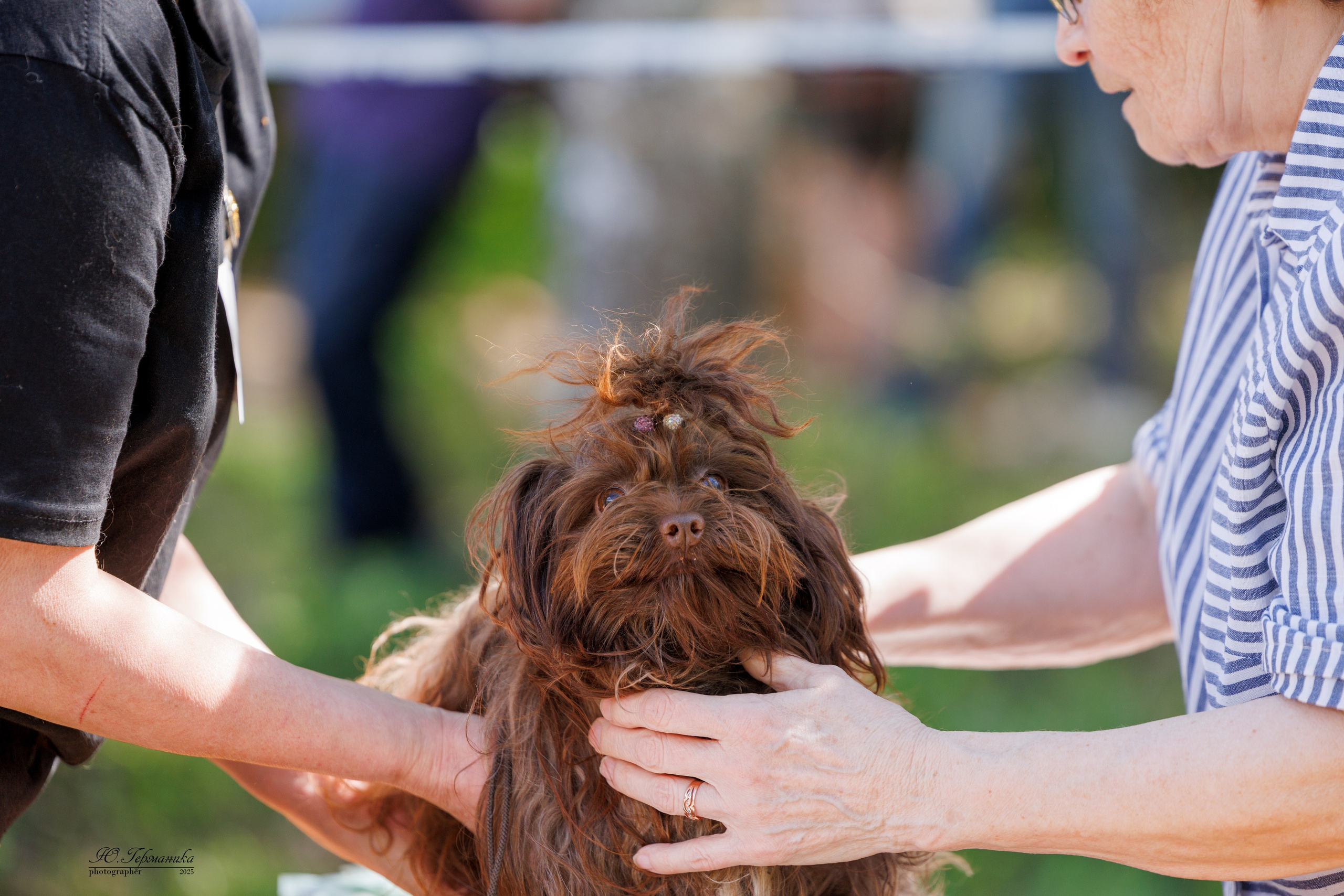 Тверь 24.05.2025. Фотограф-анималист Юлия Германика