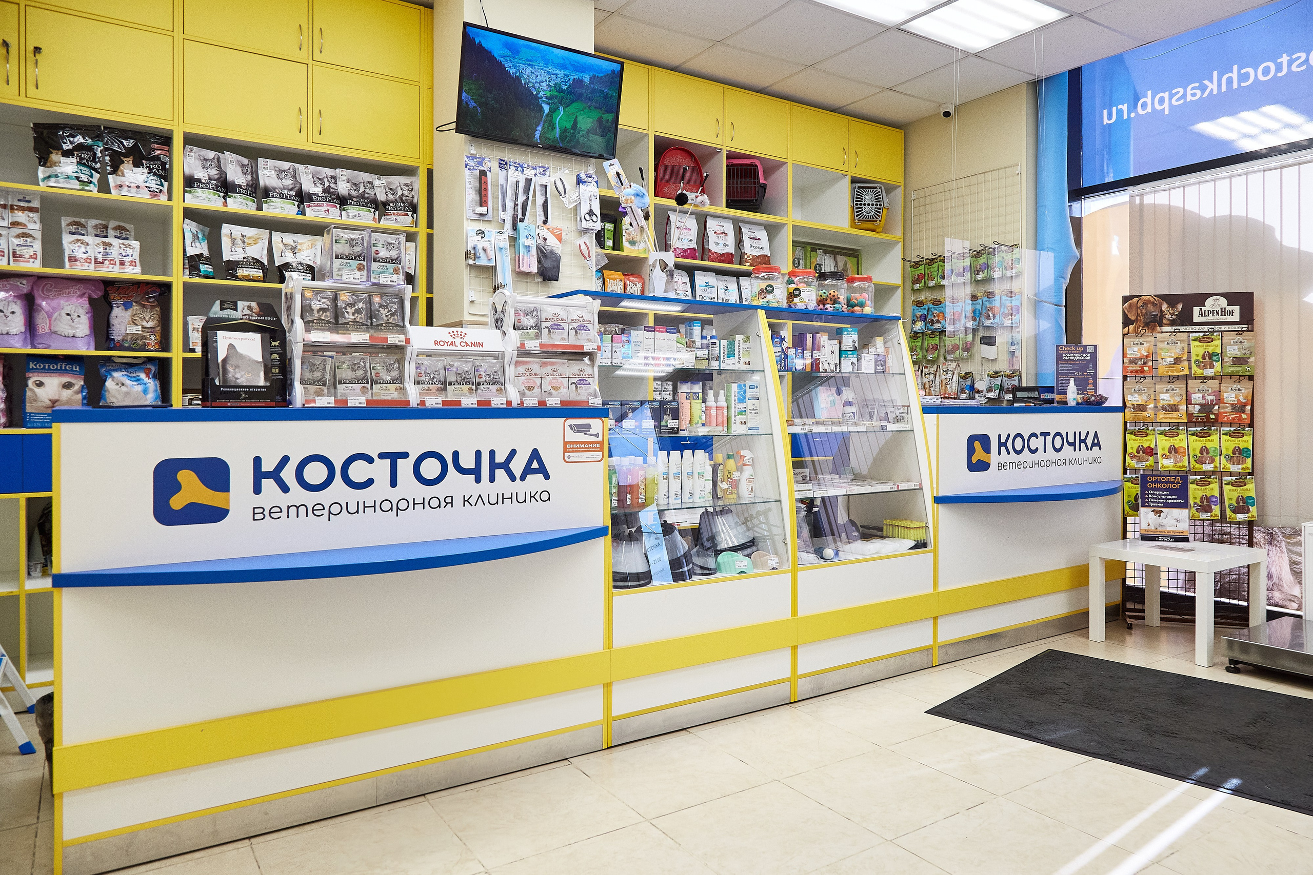 Ветеринарная клиника Косточка на Дальневосточном пр. Фотограф Анастасия Леонтьева Санкт-Петербург