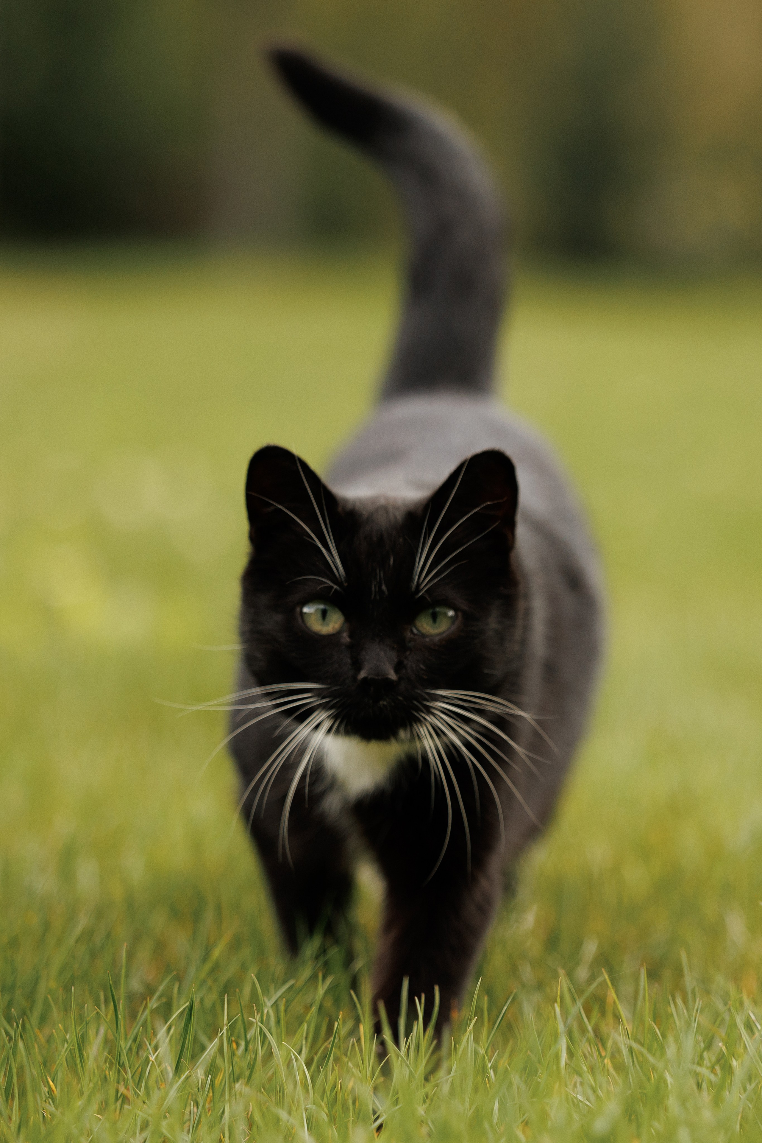 Марина & Лёша. Свадебный и семейный фотограф в Твери, Москве, Санкт-Петербурге