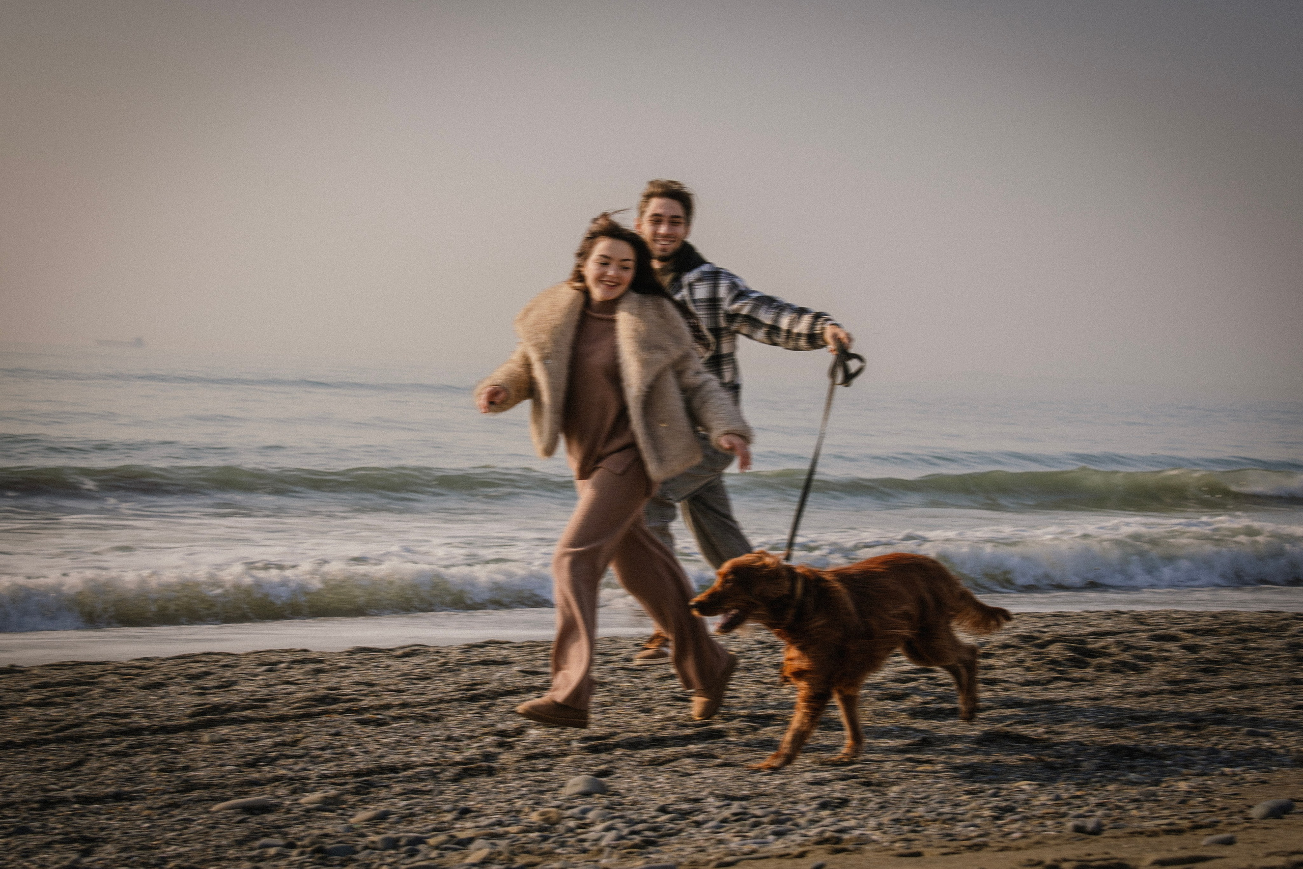 Love Story. Семейный фотограф анималист г. Находка