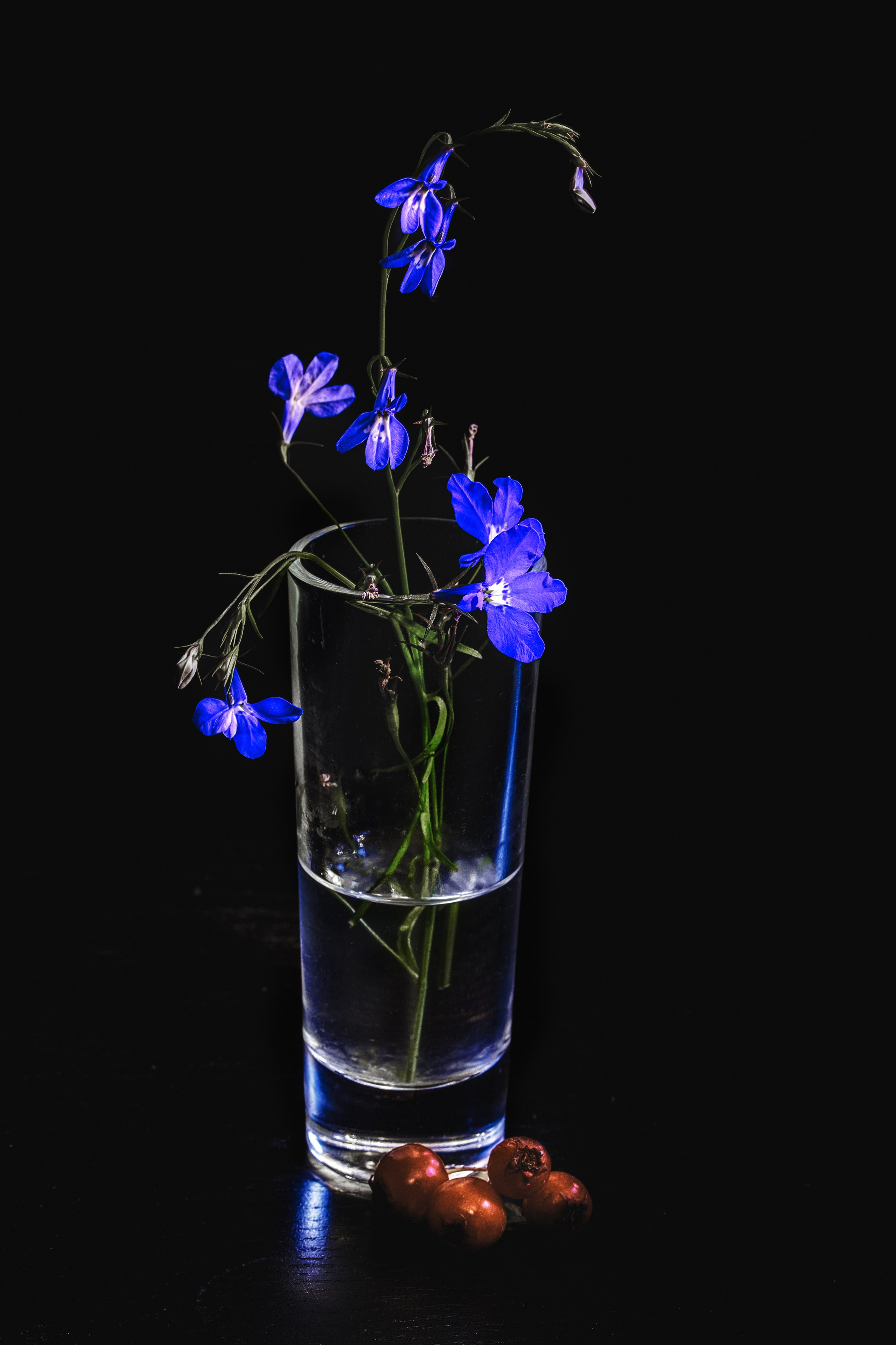 Цветы. Пейзажный и семейный фотограф в Санкт-Петербурге Александр Белов