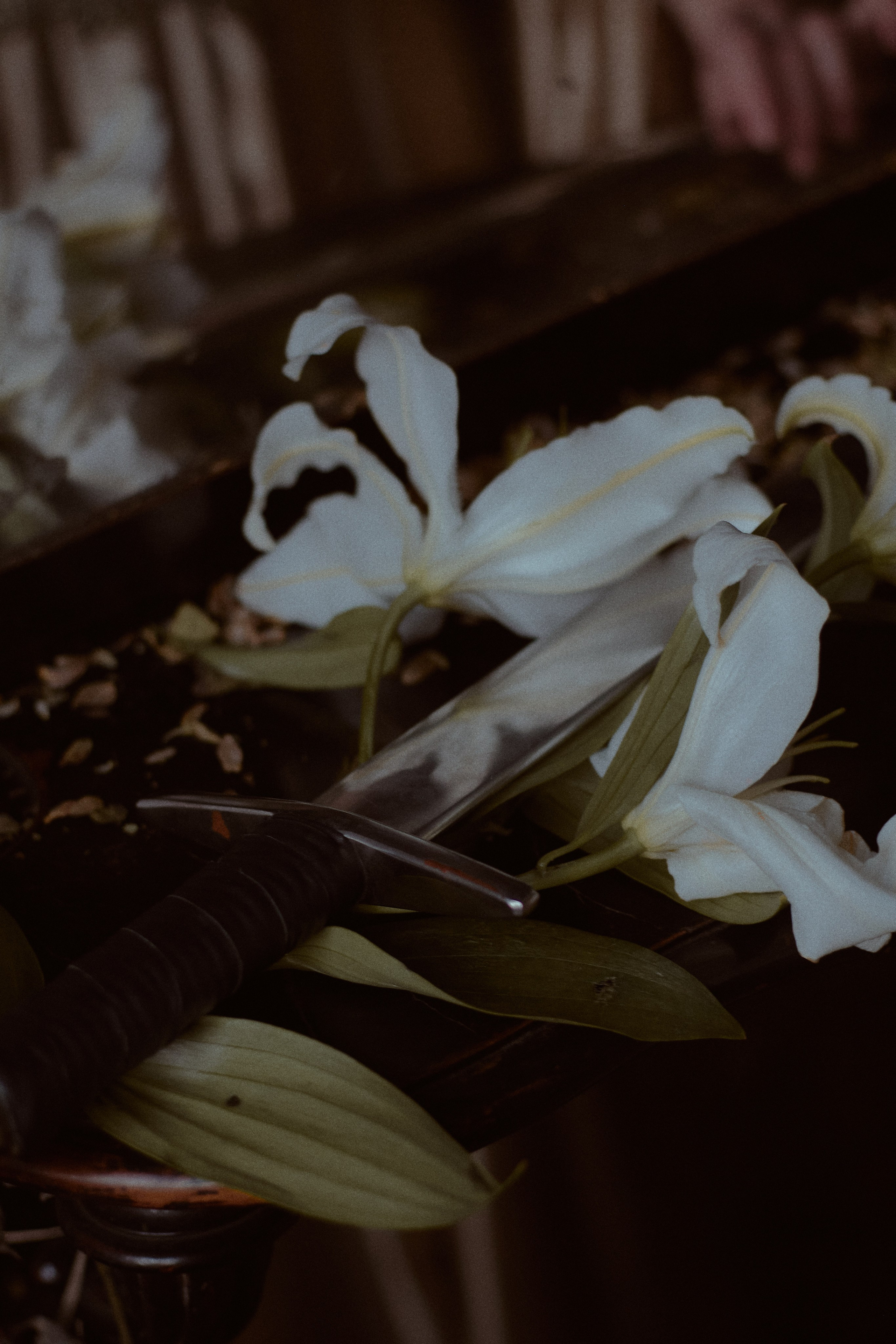 Сила. Фотограф лавстори Москва/МО Приятелева Ангелина