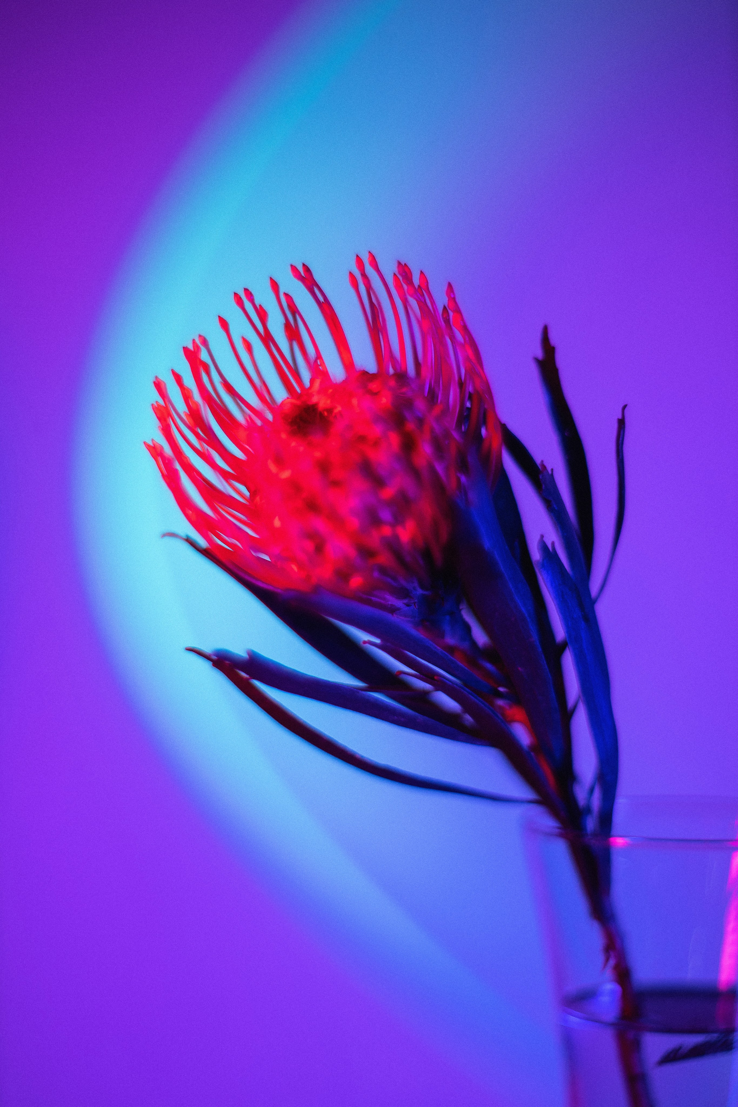 Color. Фотограф в Москве Десятова Ксения