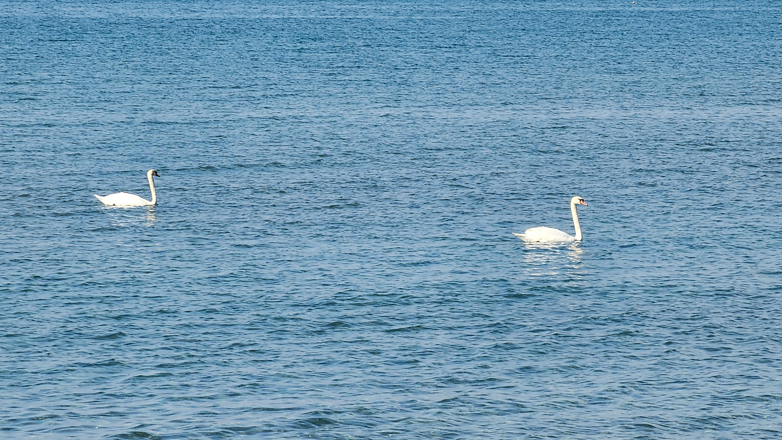 2025-04-24 Анапа: Море. Собор Отрасли