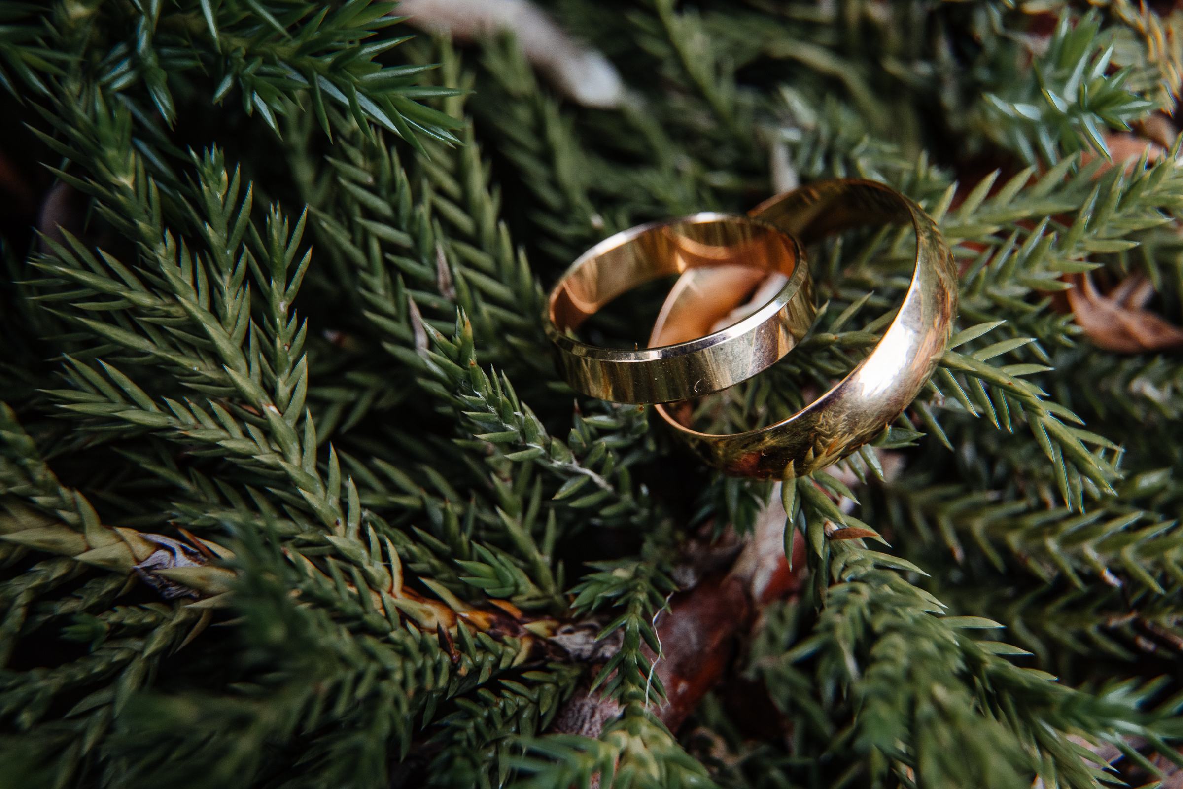 Анонс 20 06 2020. Свадебный фотограф в Ростове-на-Дону Васильченко Сергей