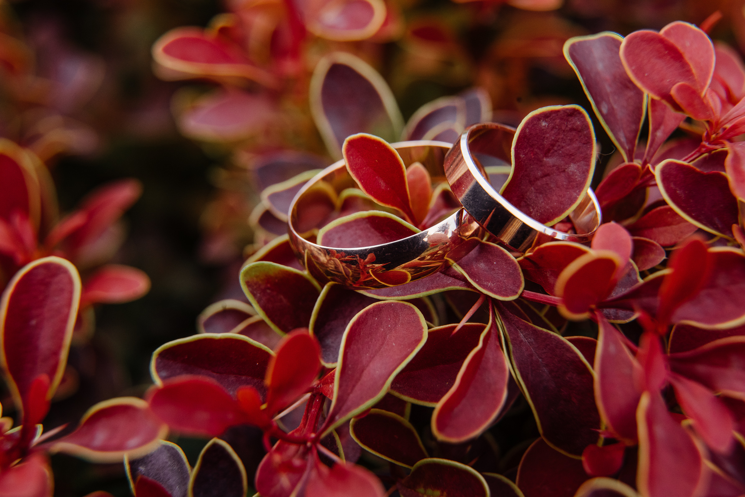Анонс 20 06 2020. Свадебный фотограф в Ростове-на-Дону Васильченко Сергей