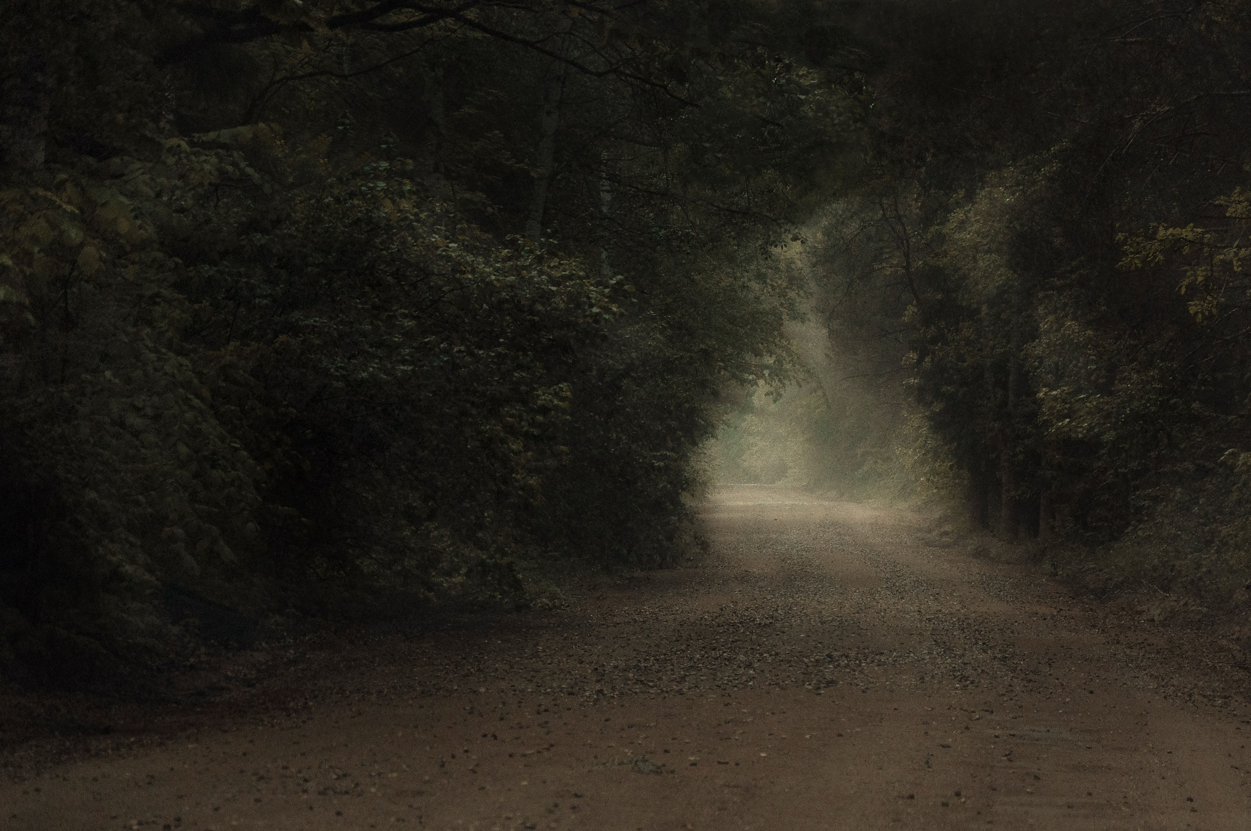 Пейзажи и архитектура. Портретная и репортажная съёмка