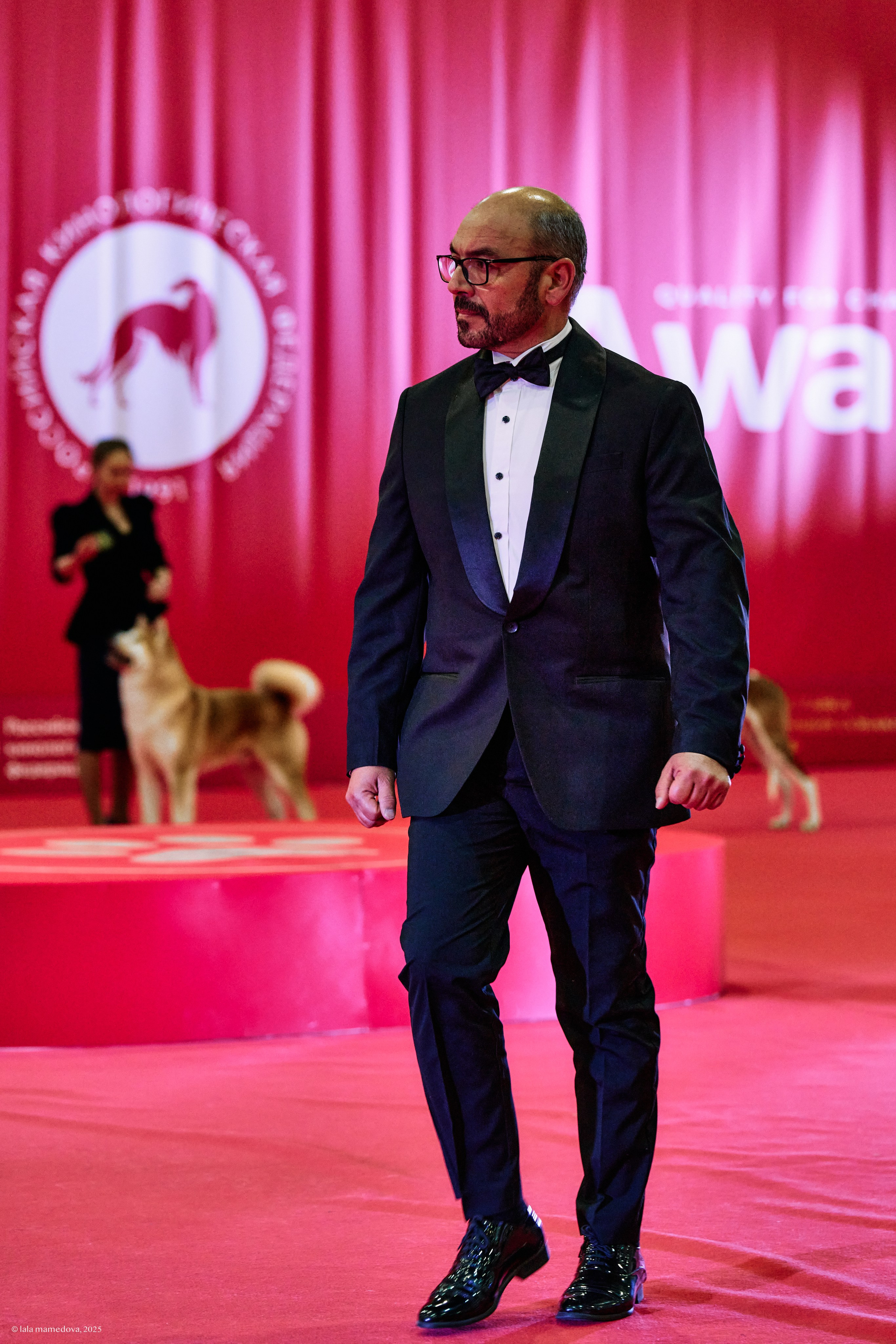 ЛУЧШИЕ СОБАКИ РОССИИ РКФ 2025