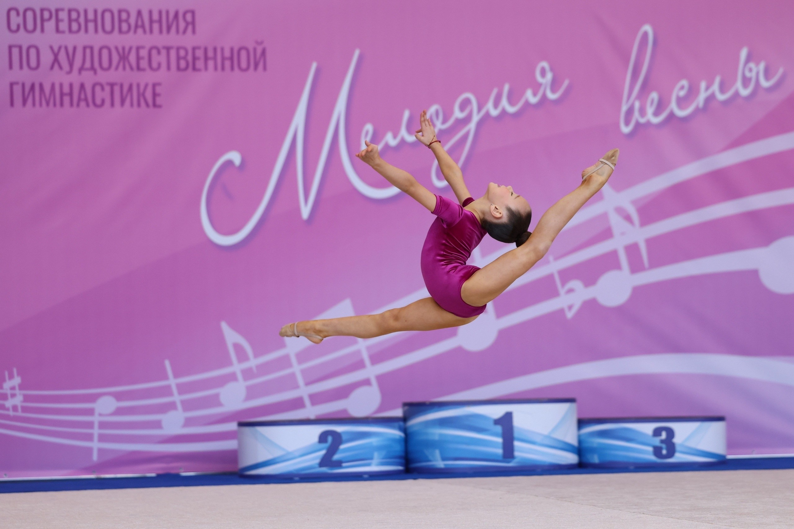 Фотосъёмка соревнований по художественной гимнастике