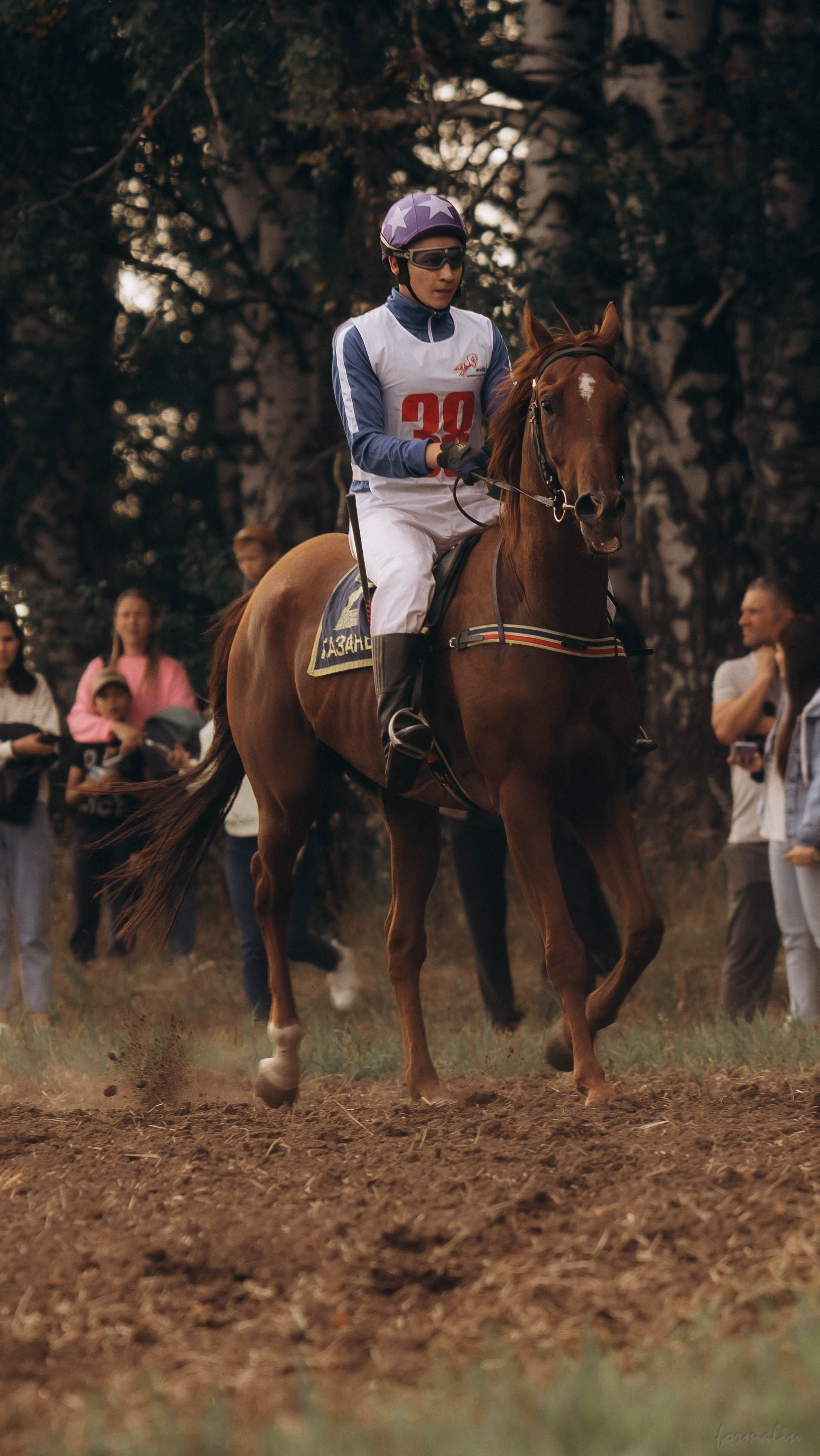 День Коня. Алиса Никитцова | Фотограф в Казани