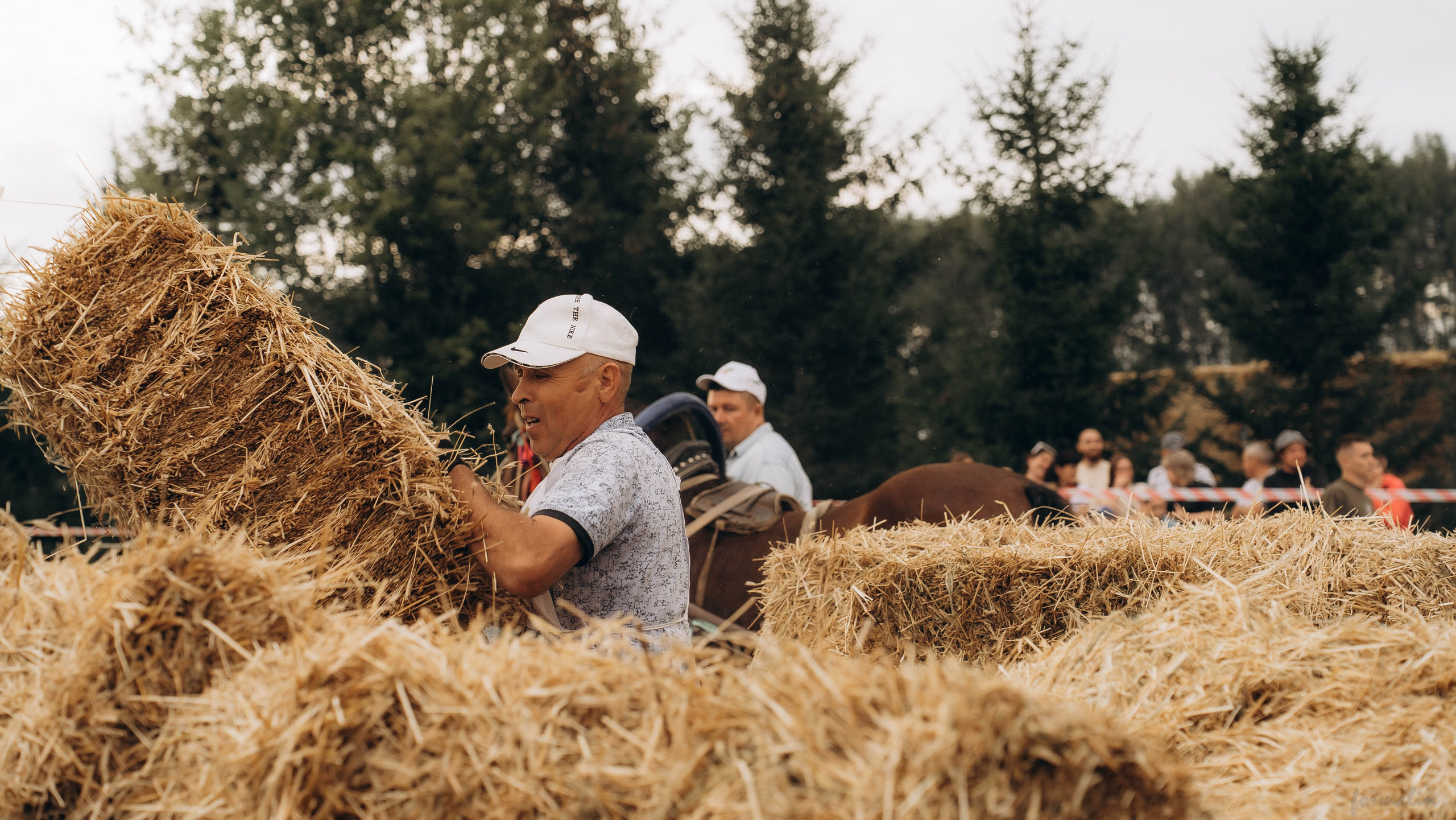 День Коня. Алиса Никитцова | Фотограф в Казани
