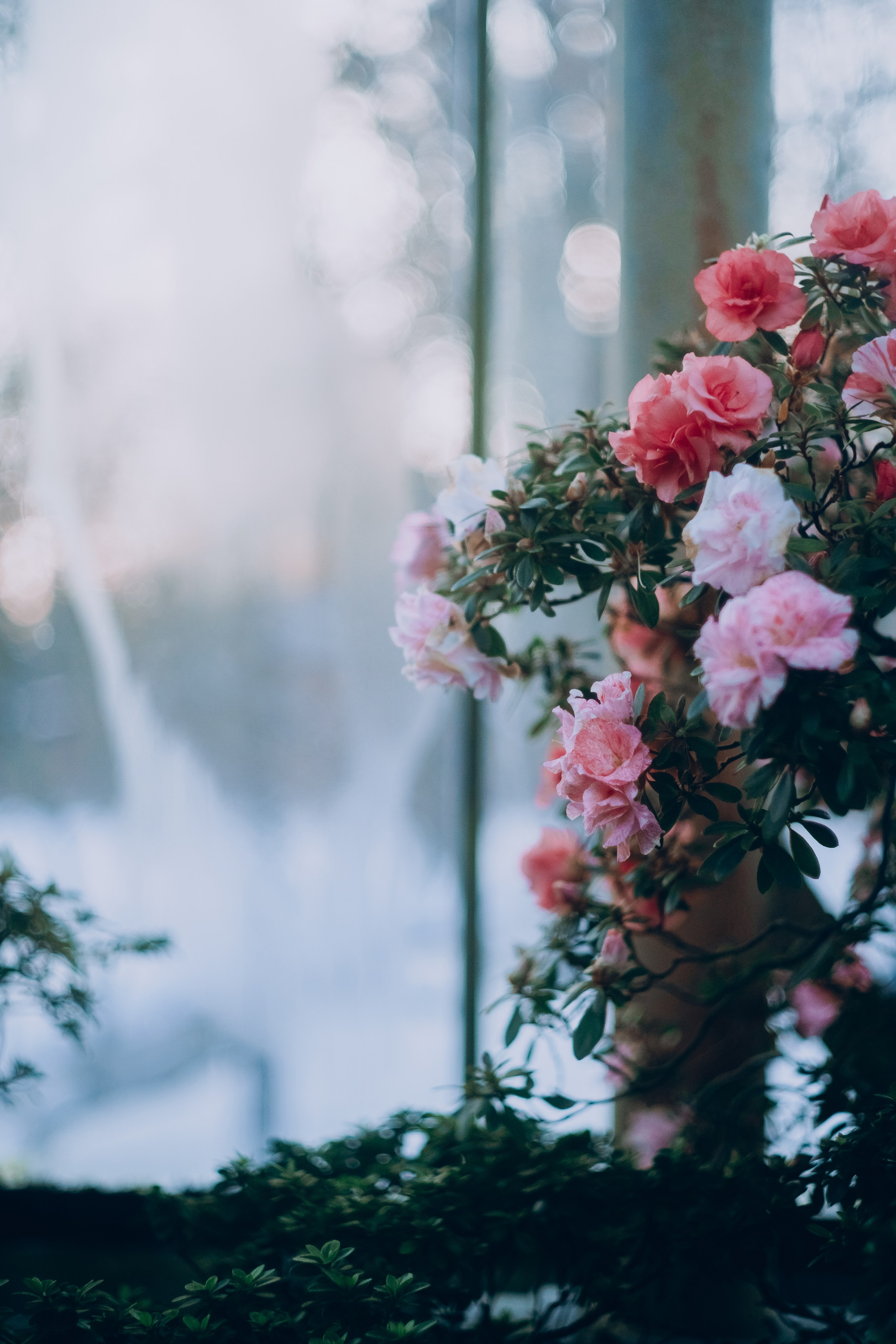 Botanical. Портретный и свадебный фотограф в Москве и Санкт-Петербурге. Учитель фотографии онлайн и оффлайн