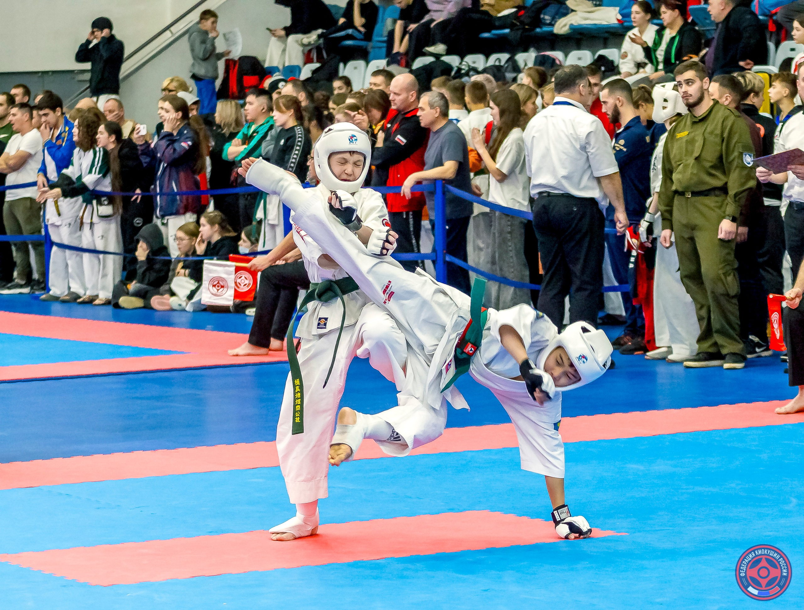 Международный турнир по киокушин «Открытый кубок Seiken». Репортажная съемка в Москве и области. Анималистика