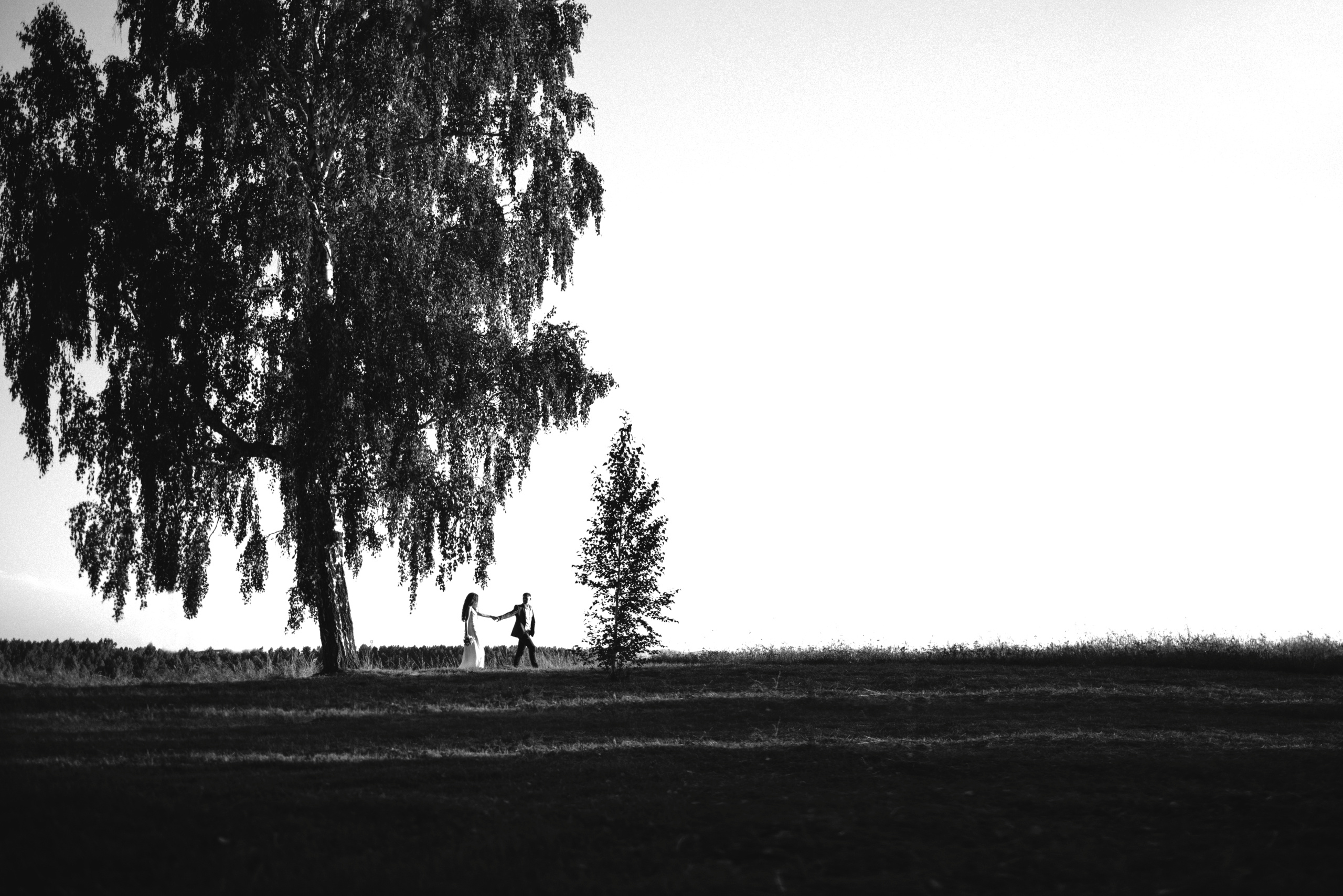 Wedding. Фотограф Шарыпово