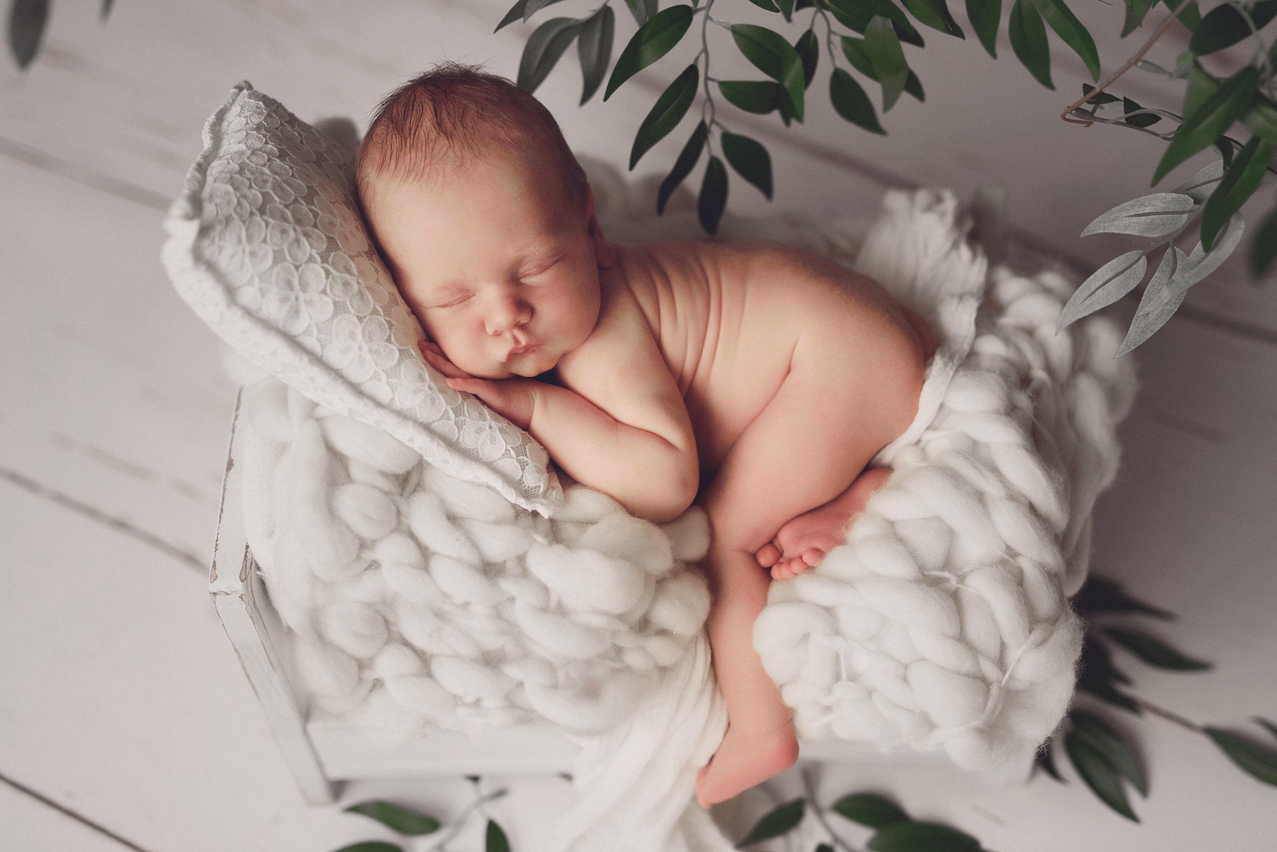 Новорожденные. Фотограф Шарыпово