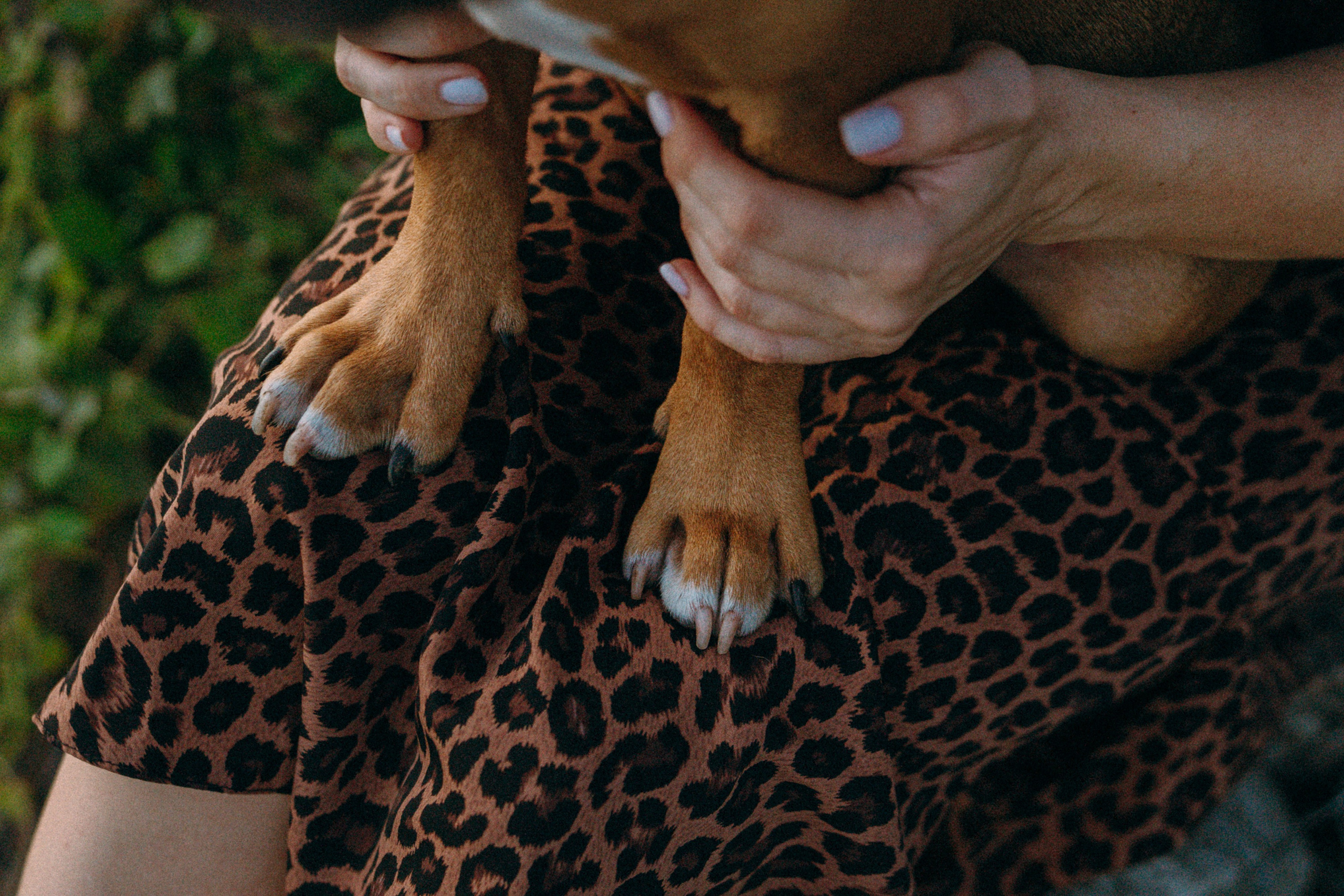 Кристина и Эфи. Фотограф анималист в Москве и Санкт-Петербурге Свиридова Анна