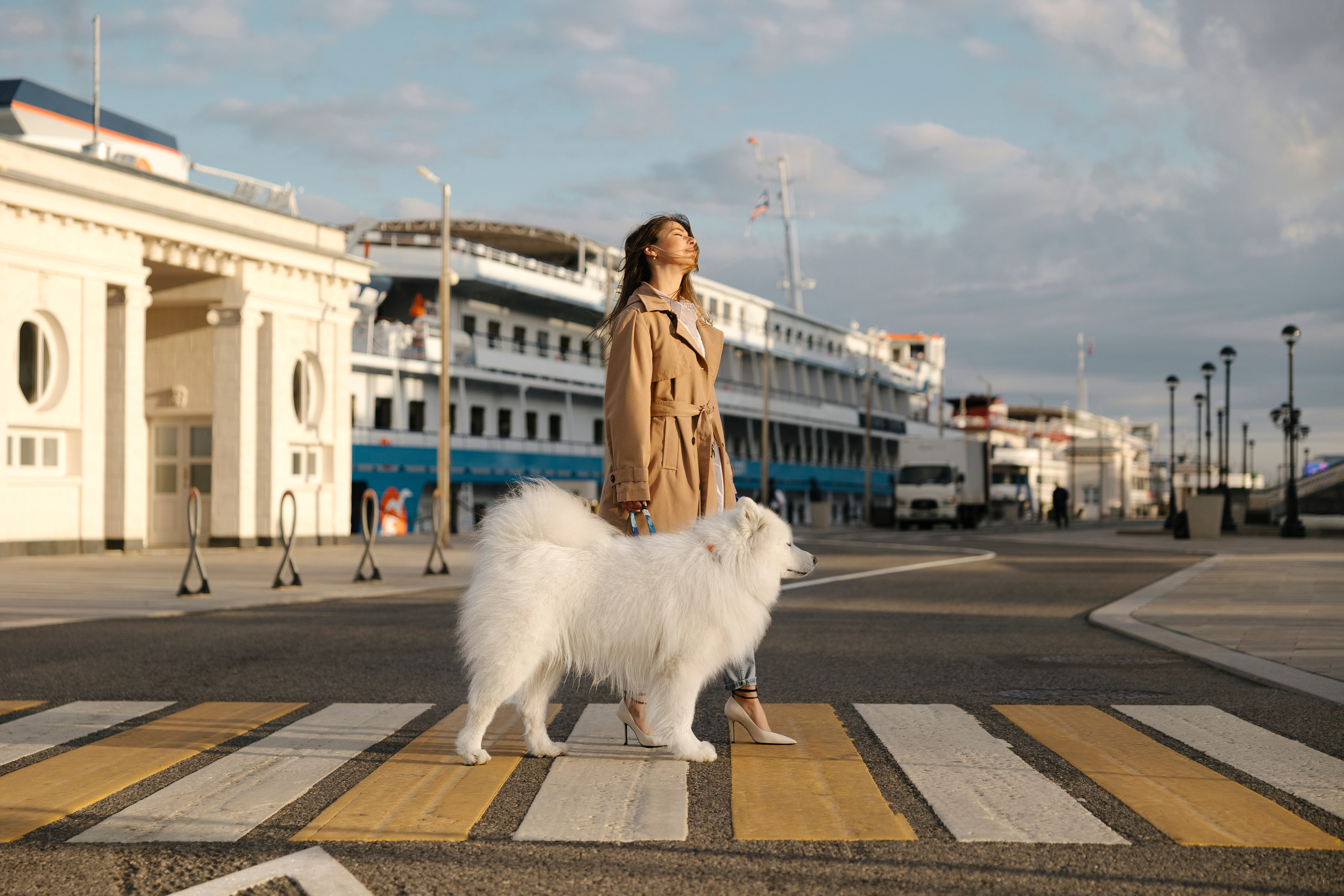 Ната, Панти, Речной Вокзал. Фотограф анималист в Москве Майорова Евгения