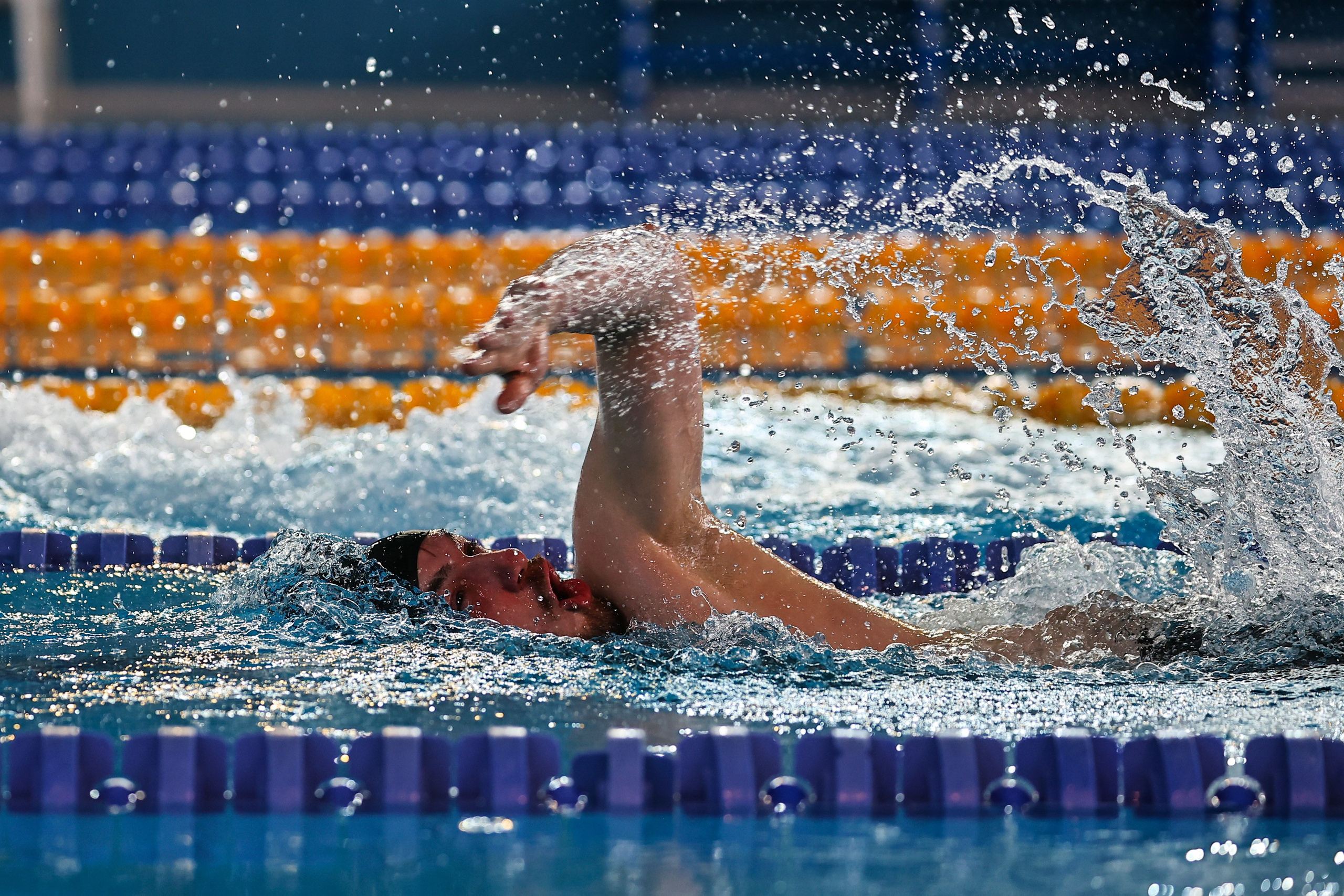 ДЗМ Плавание 2026. Фототерапевт Ева Бунеева