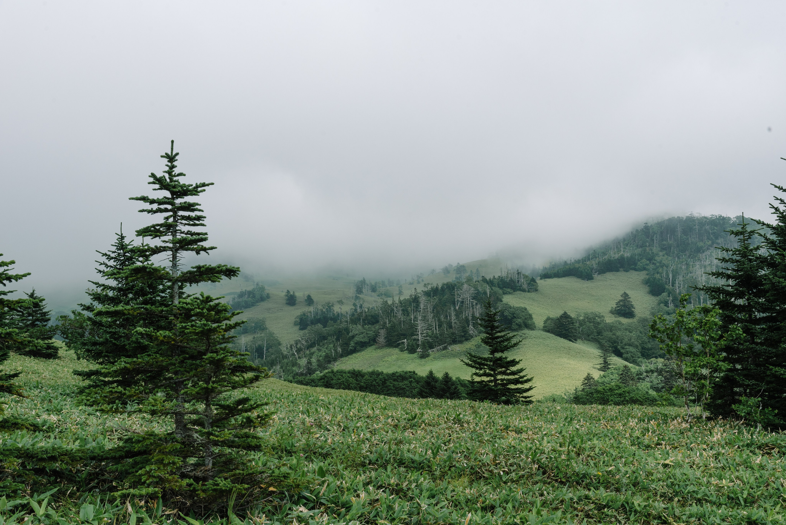 Сахалин и Курильские острова. Фотограф Алиса Калинина