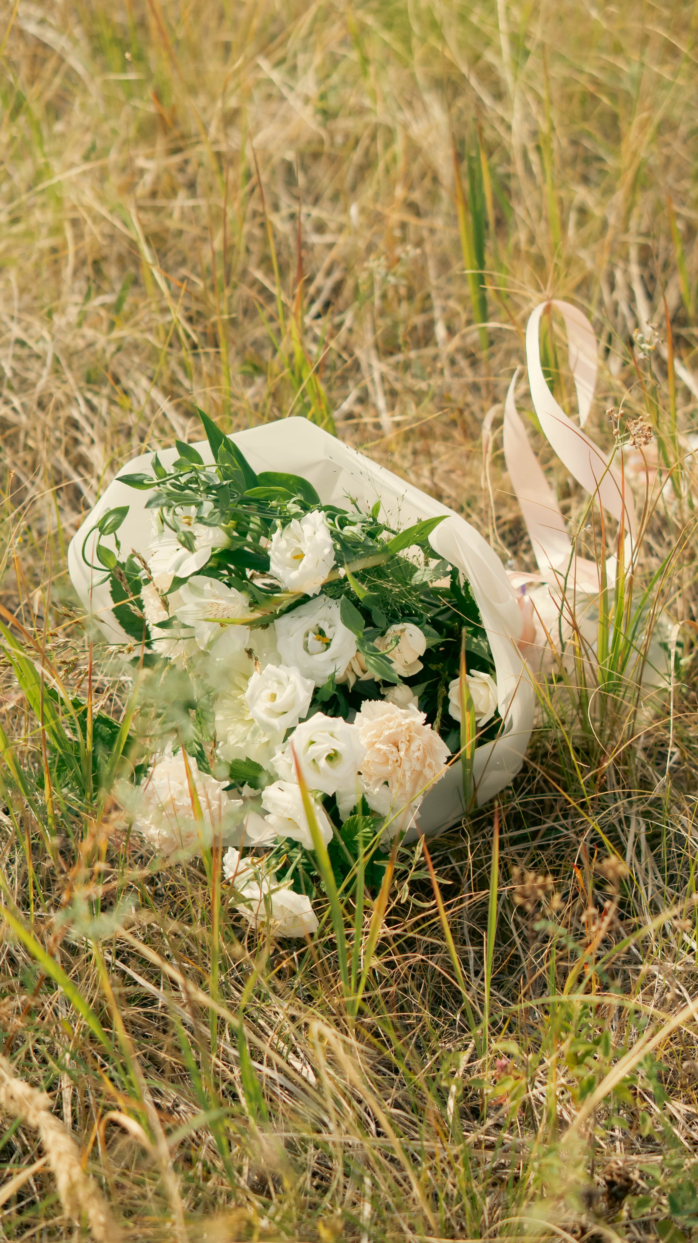 Дпрья. ФОТОГРАФ САРАТОВ