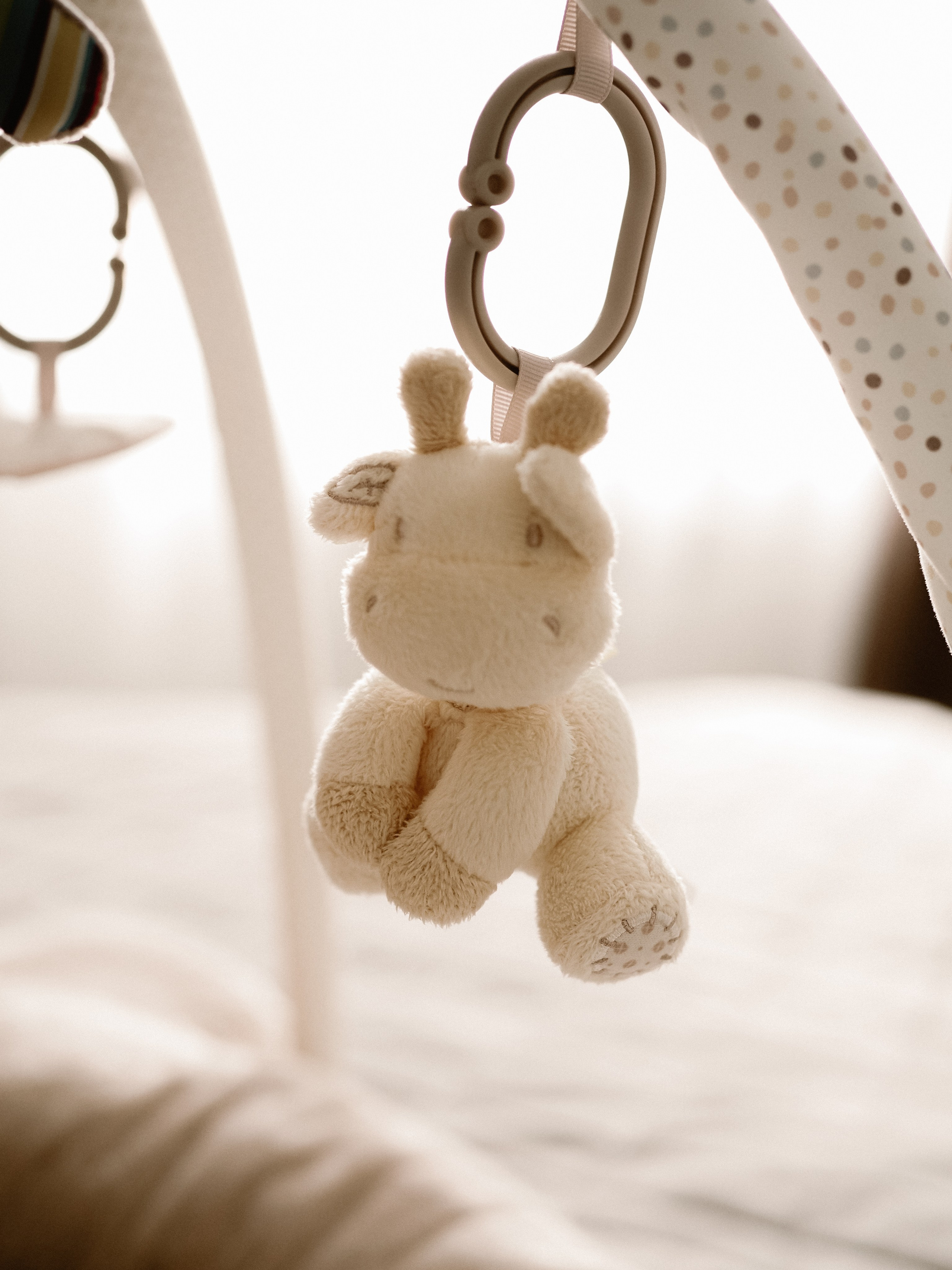 Нежность первой встречи. Фотограф Рязань. Семейный Свадебный фотограф