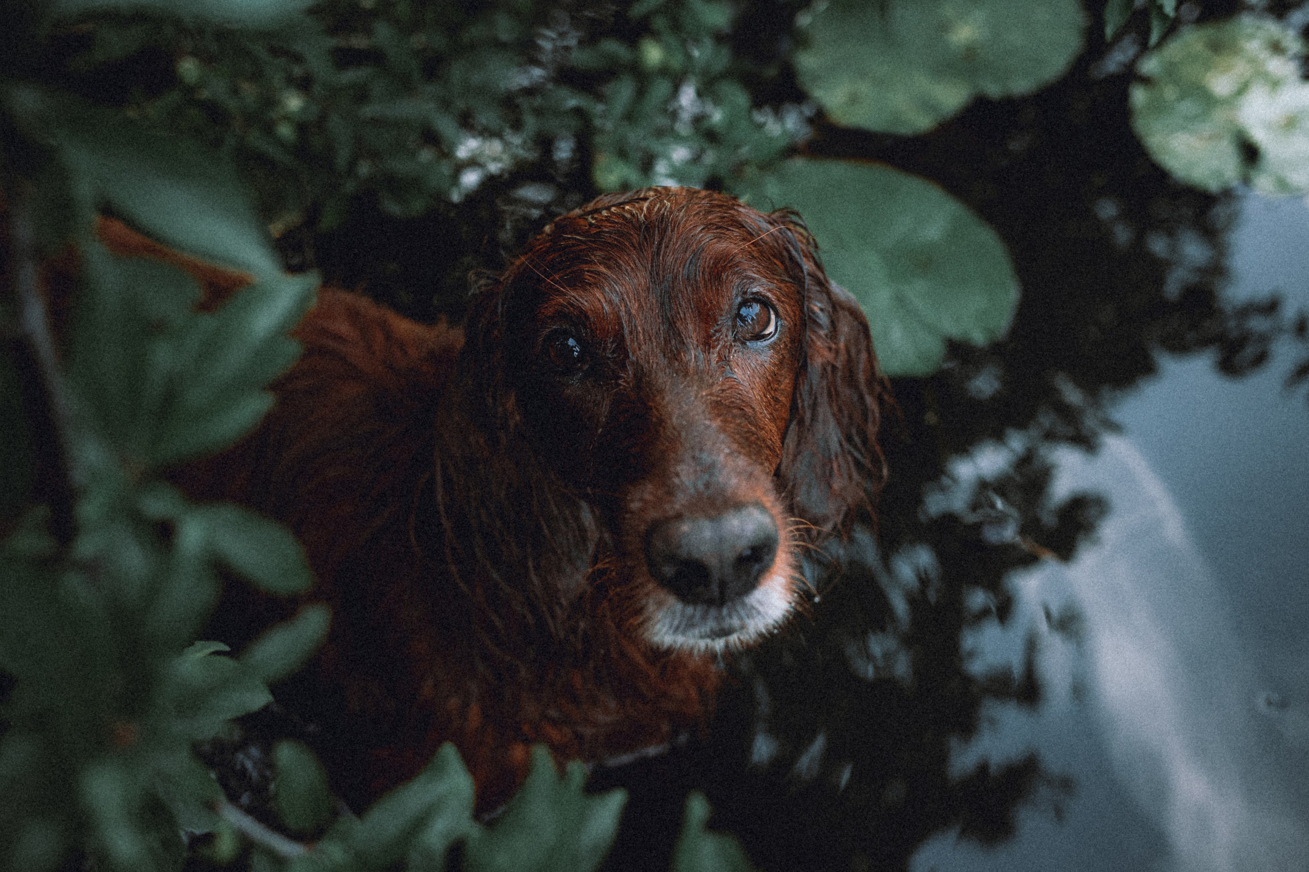 Маша и Джерри