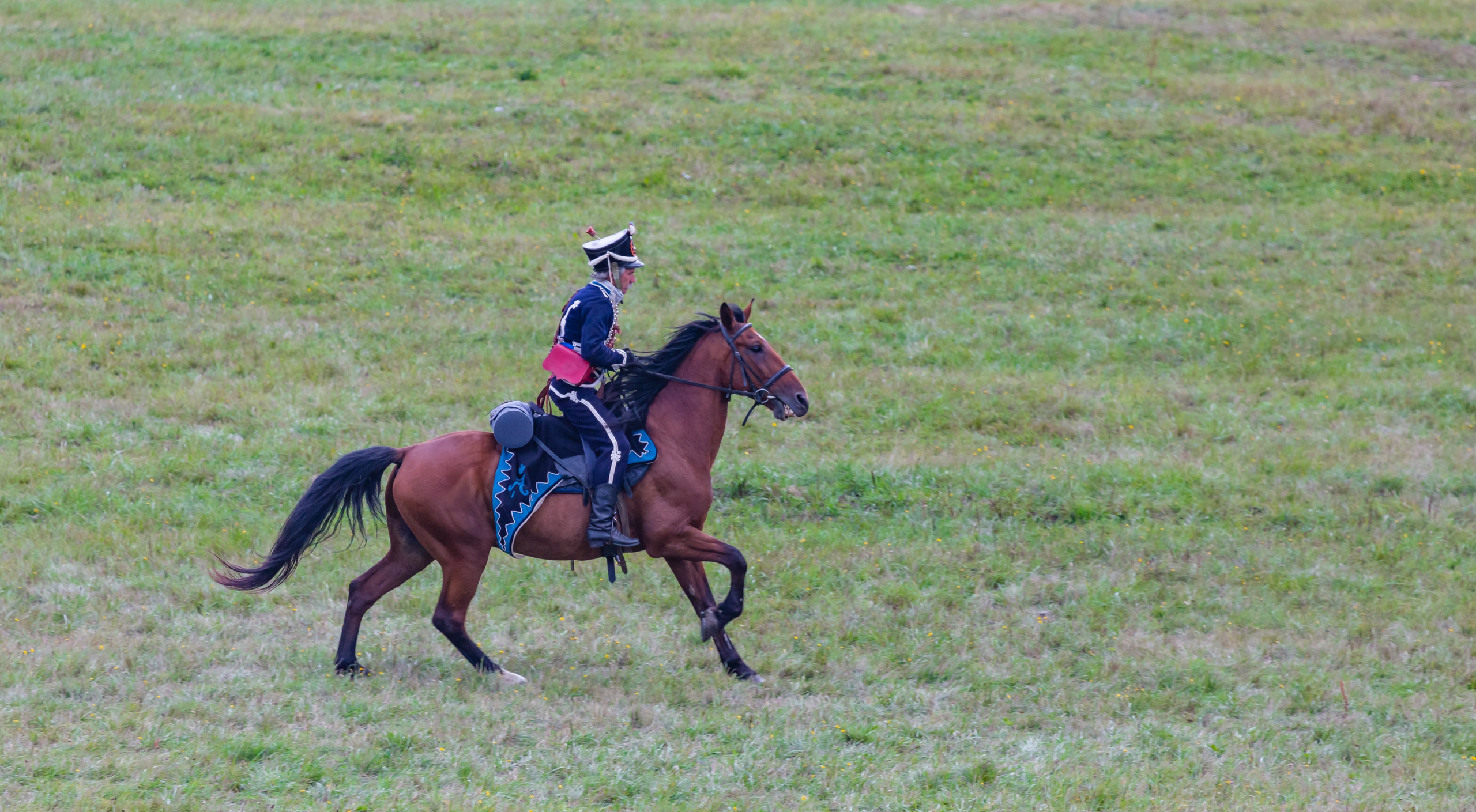 Бородинское сражение. Светлая сторона