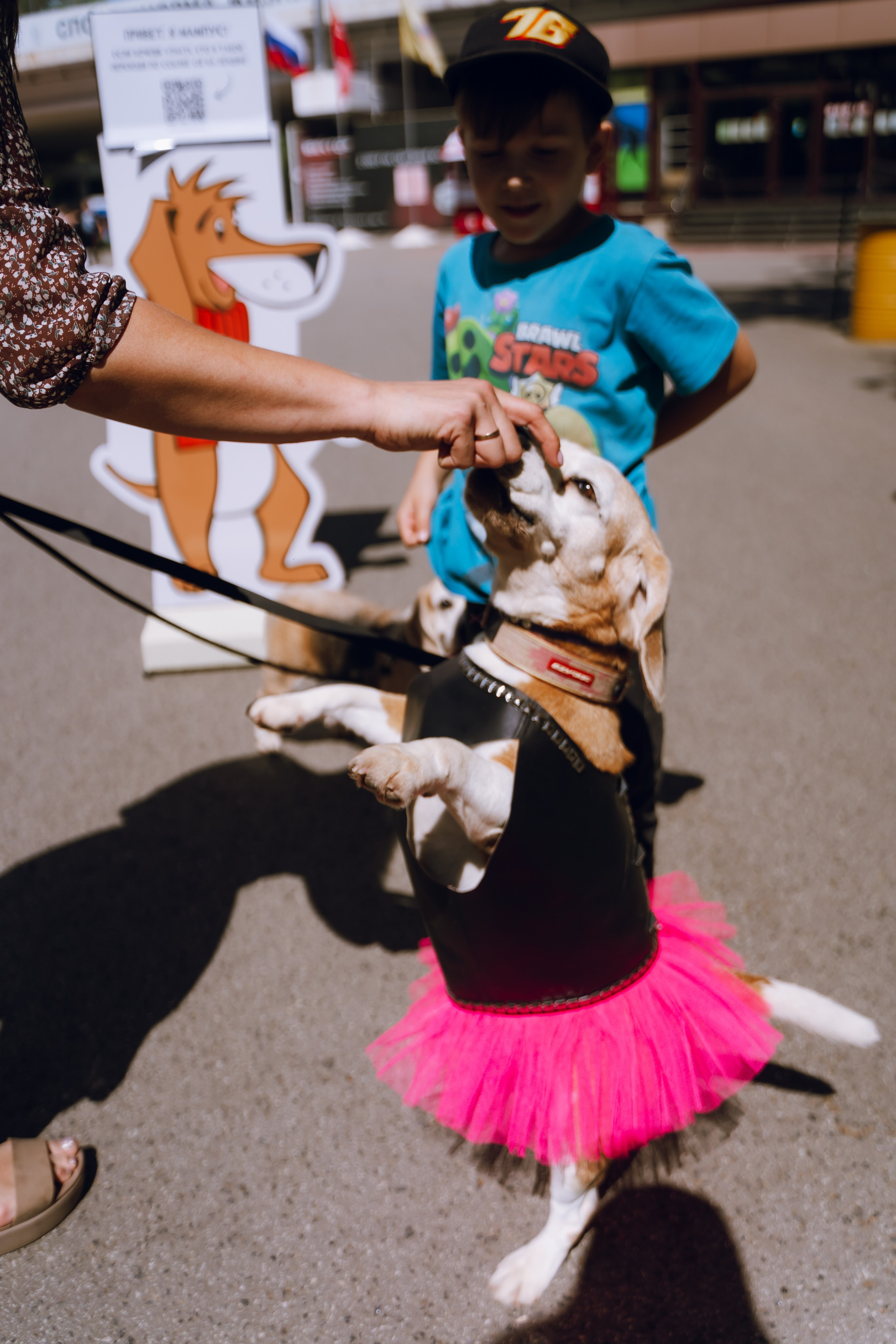 Площадка фестиваля «Мампус и его друзья» в Лесопарке 2025. Фотограф Надежда Погребняк | Рязань | Москва