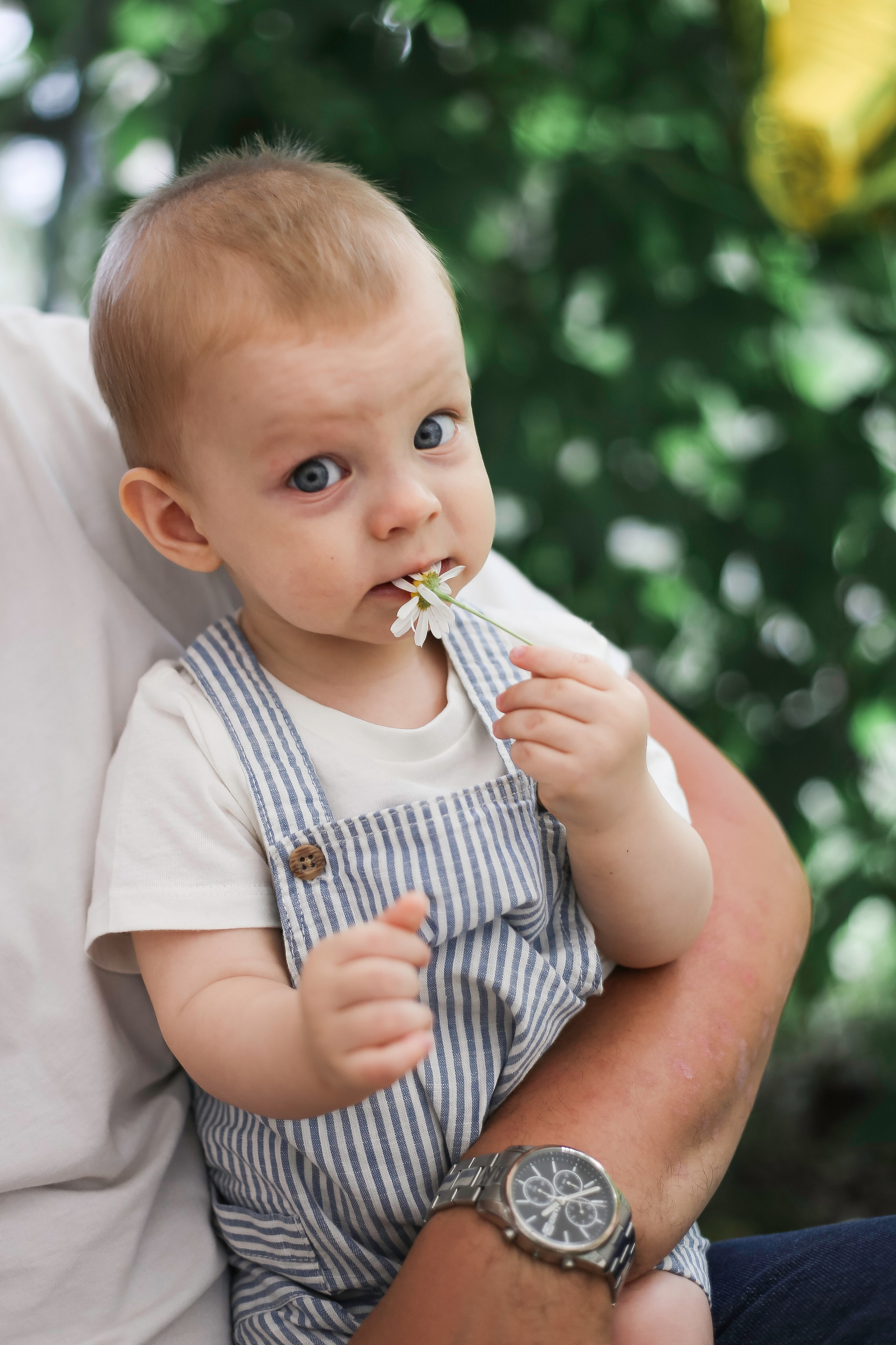 Годик с ромашками. Семейный и детский фотограф в Перми Ольга Кошелева