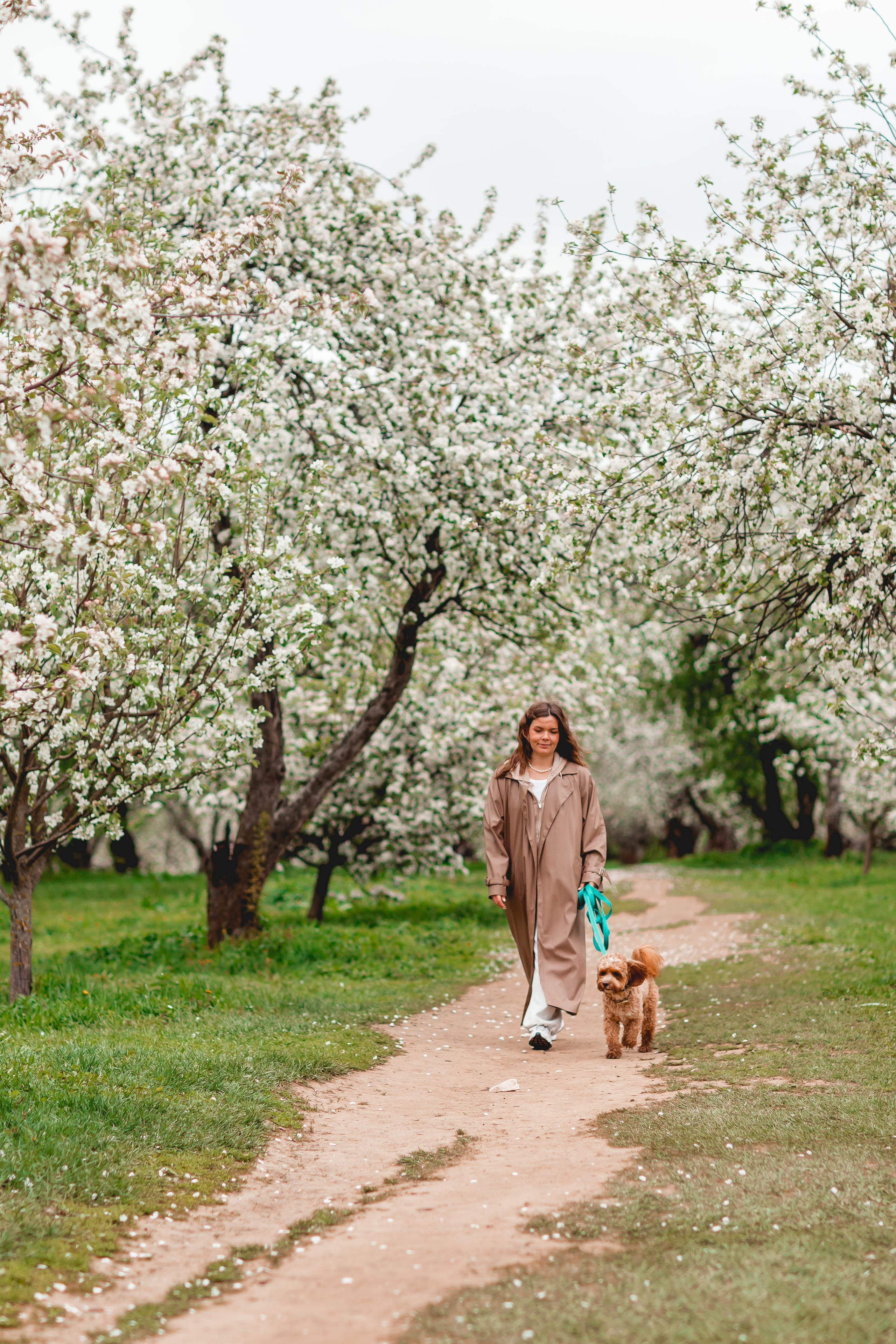Ирина и Балу. Семейный фотограф анималист Мария Крючкова