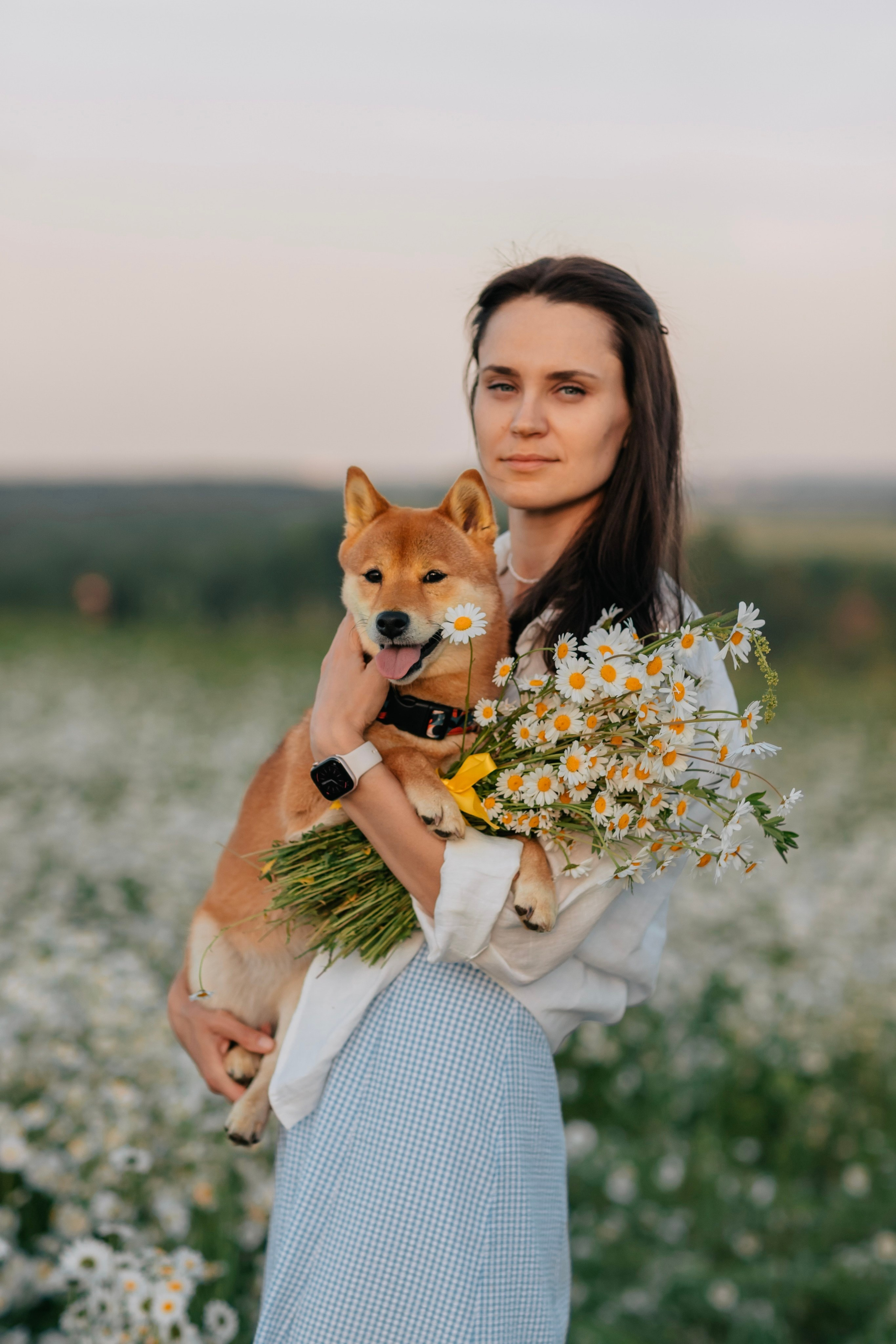 Анна и Айма в ромашковом поле. Анонс фотосессии. Семейный фотограф анималист Мария Крючкова