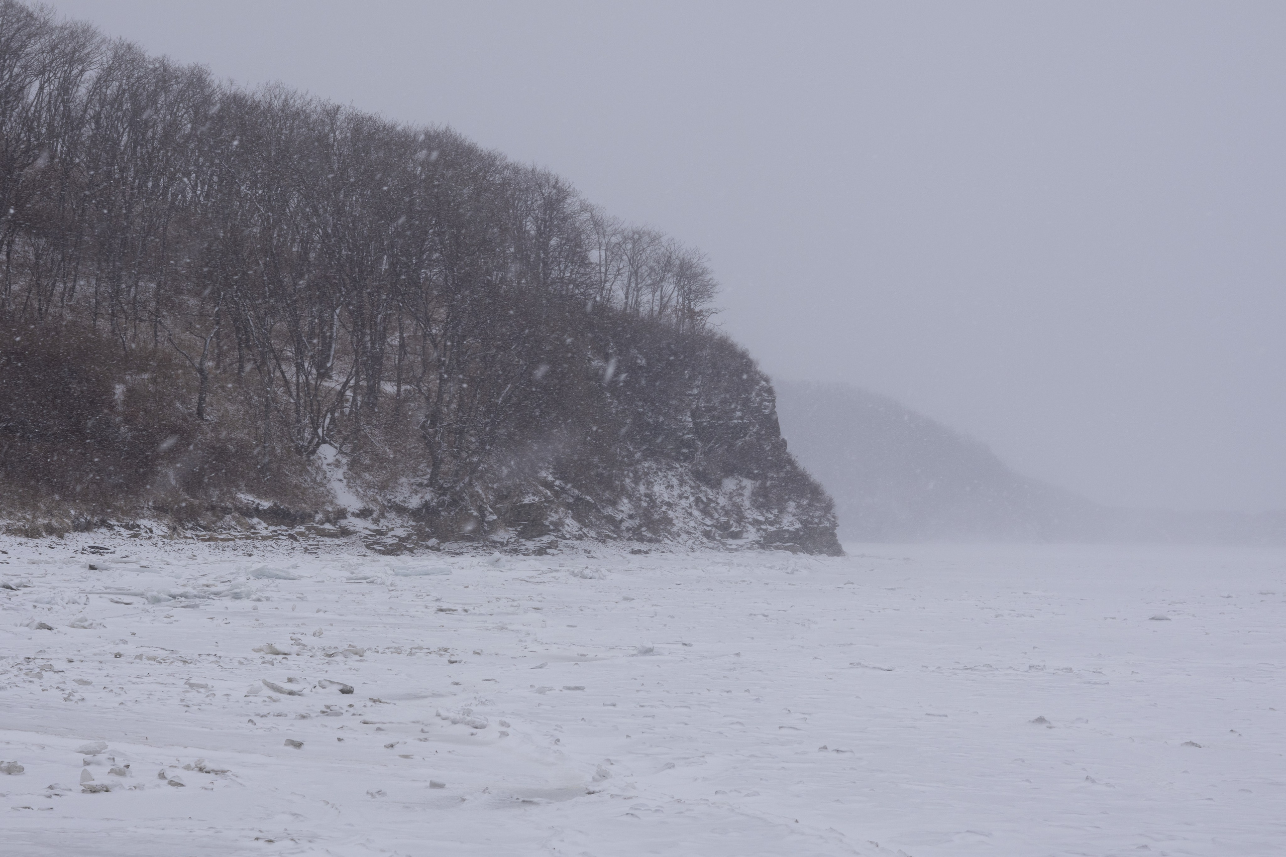 Константин Кириченко