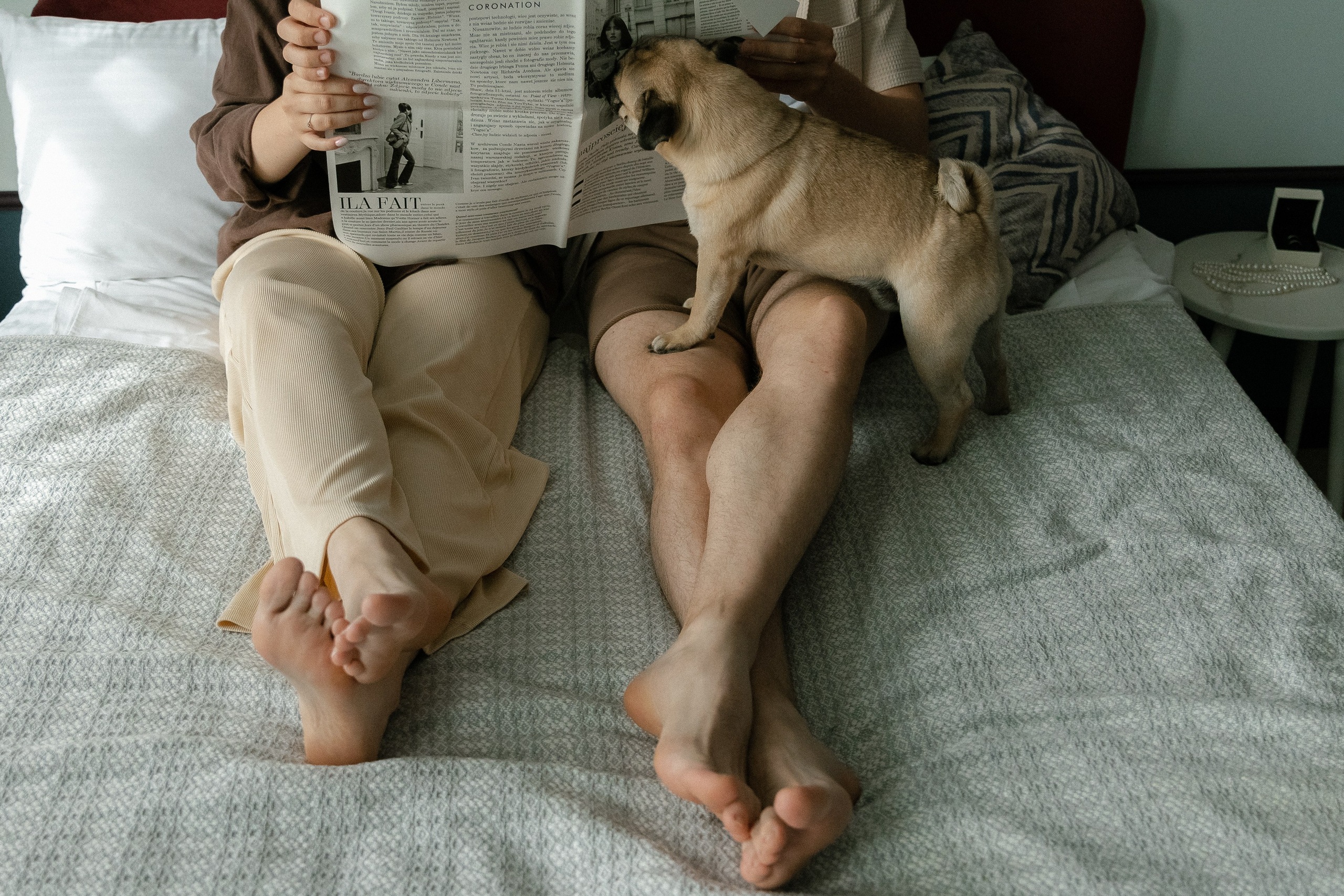 Мы и Федя. Свадебный фотограф Ярославль, Рыбинск